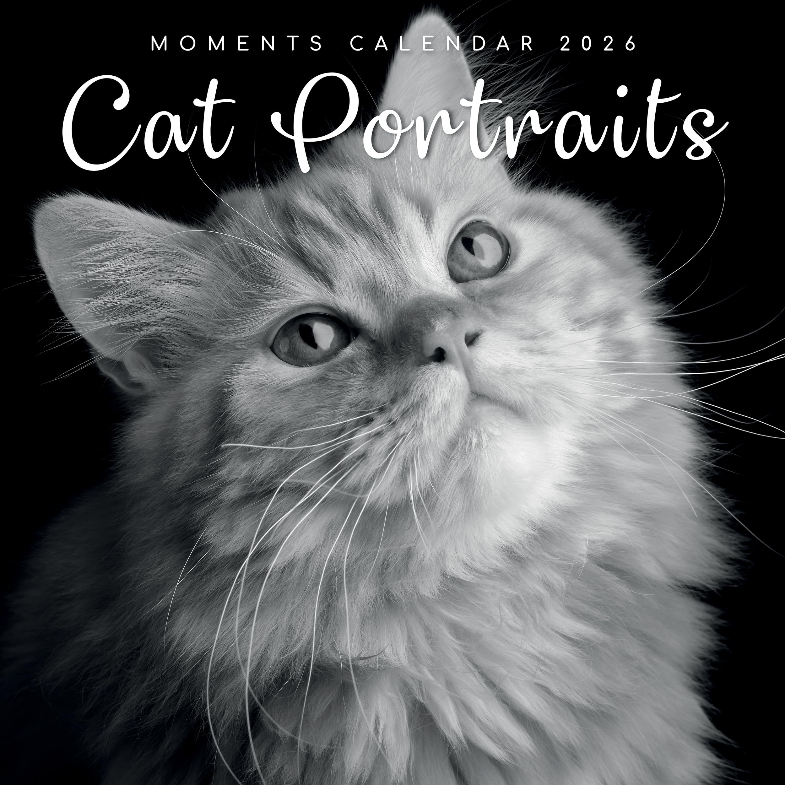 TGSC | Black & White Cat Portraits 2026 Calendar 16 Month Family Square Wall 2026 UK | Planner with Large Grid for Home or Office Organisation - 2026/2025 UK