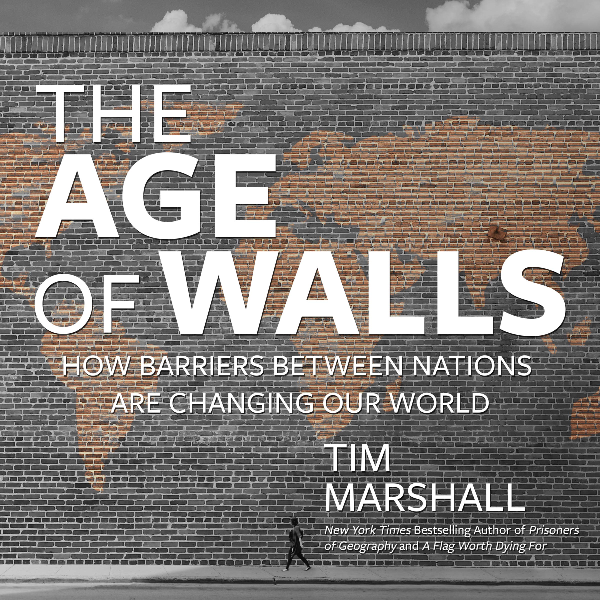 Cover art for The Age of Walls