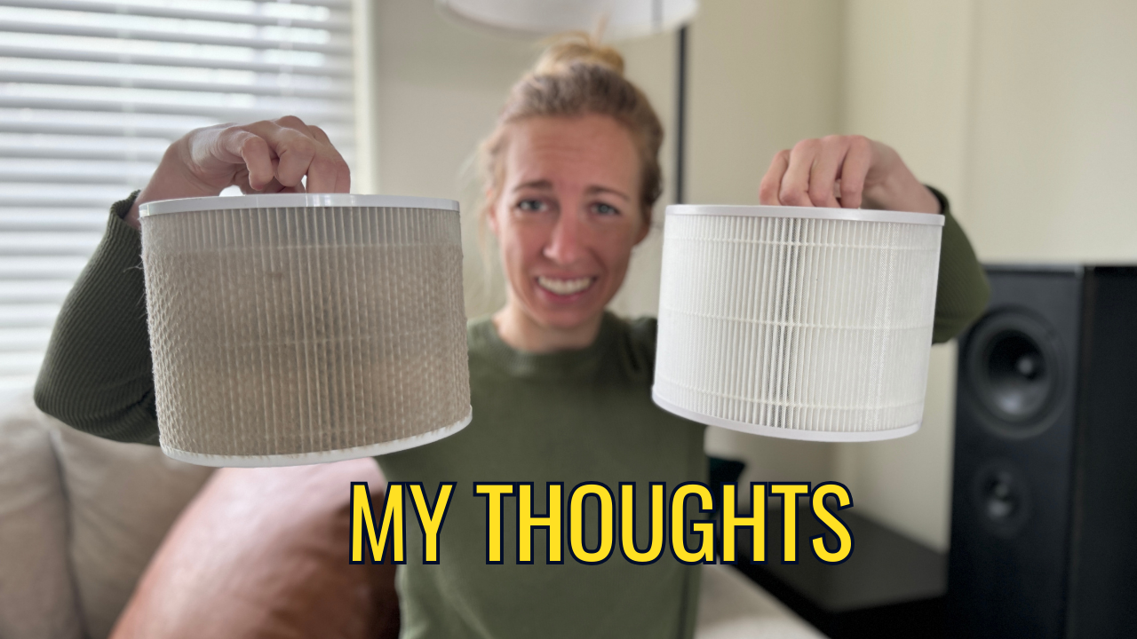Levoit Core 300 Replacement Filter view 4