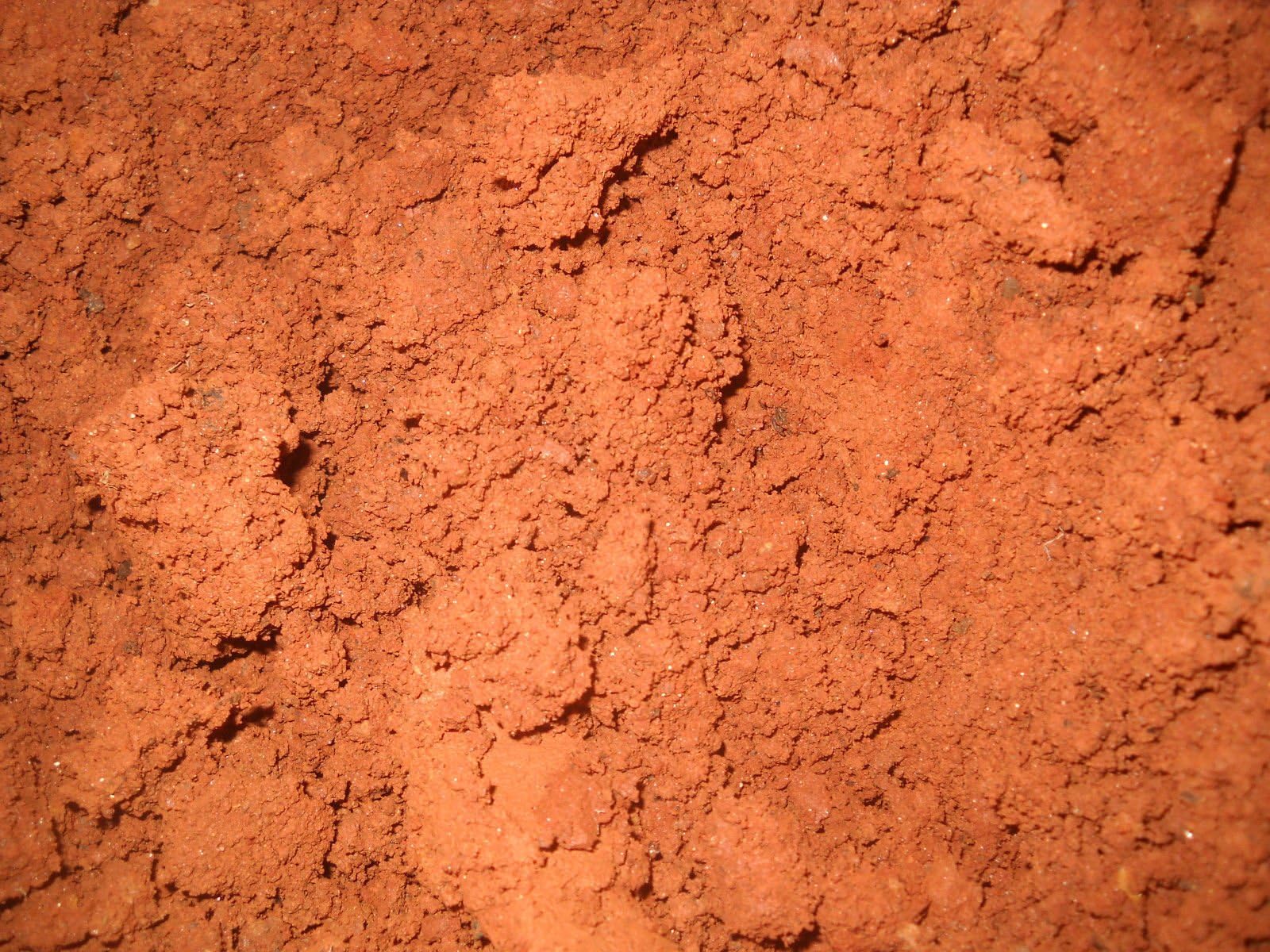 RED Soil Dirt Clay Georgia - 3 POUNDS from