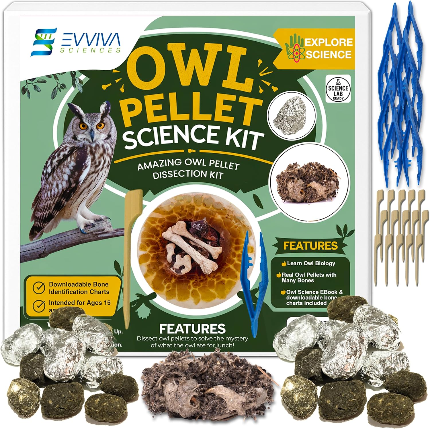 ES EVVIVA SCIENCES Owl Pellet Kit - Dissect 30 Mostly Small Real Owl Pellets w/Tools & PDF Bone Charts - Science Education Kit for Ages 15+ - Hands-On Animal Biology Science Lab Activity