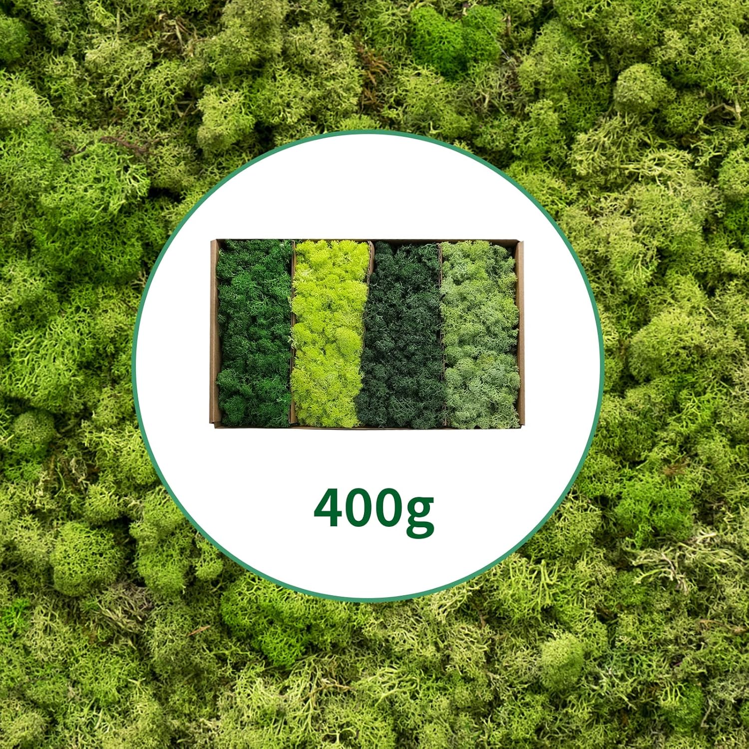 TurelinnG Preserved Moss 4 Color Reindeer Craft Moss, Total 14 OZ Each Color 3.5 OZ, Fake Moss Suitable for Flowerbeds, Crafts, Home Office Artistic Decoration (4 Colors)
