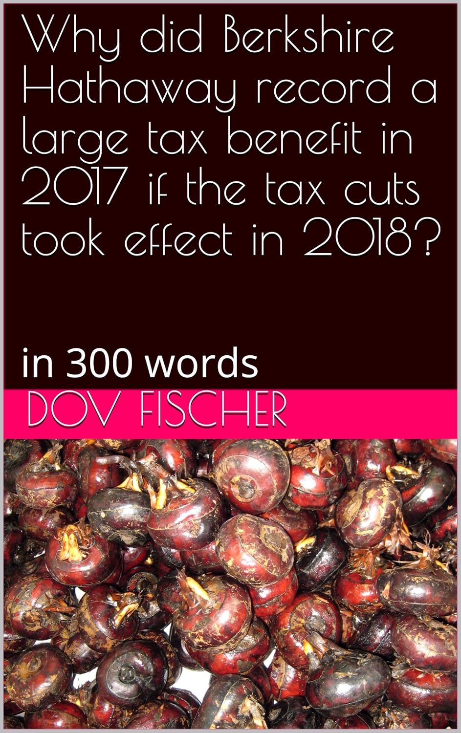 Why did Berkshire Hathaway record a large tax benefit in