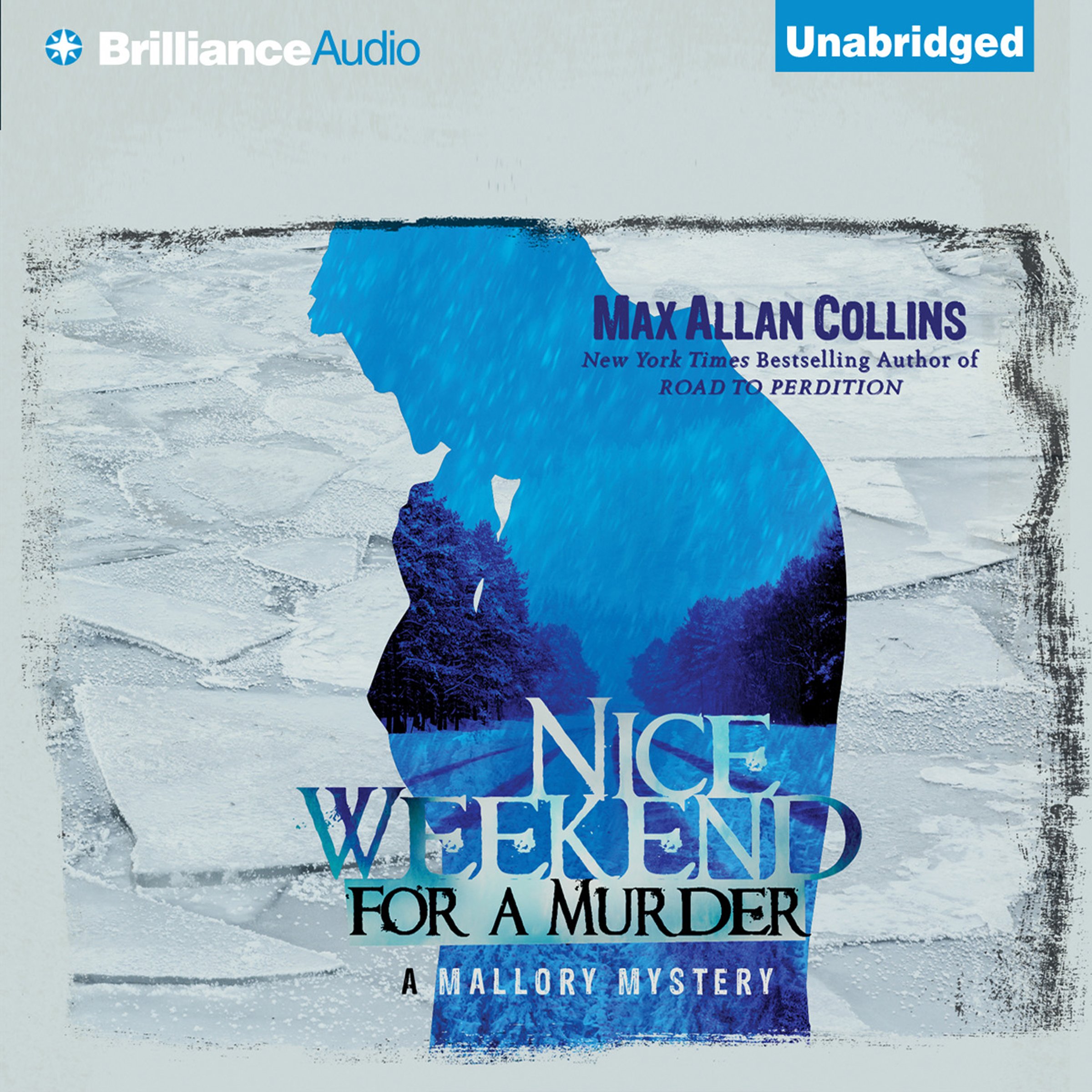 Cover art for Nice Weekend for a Murder