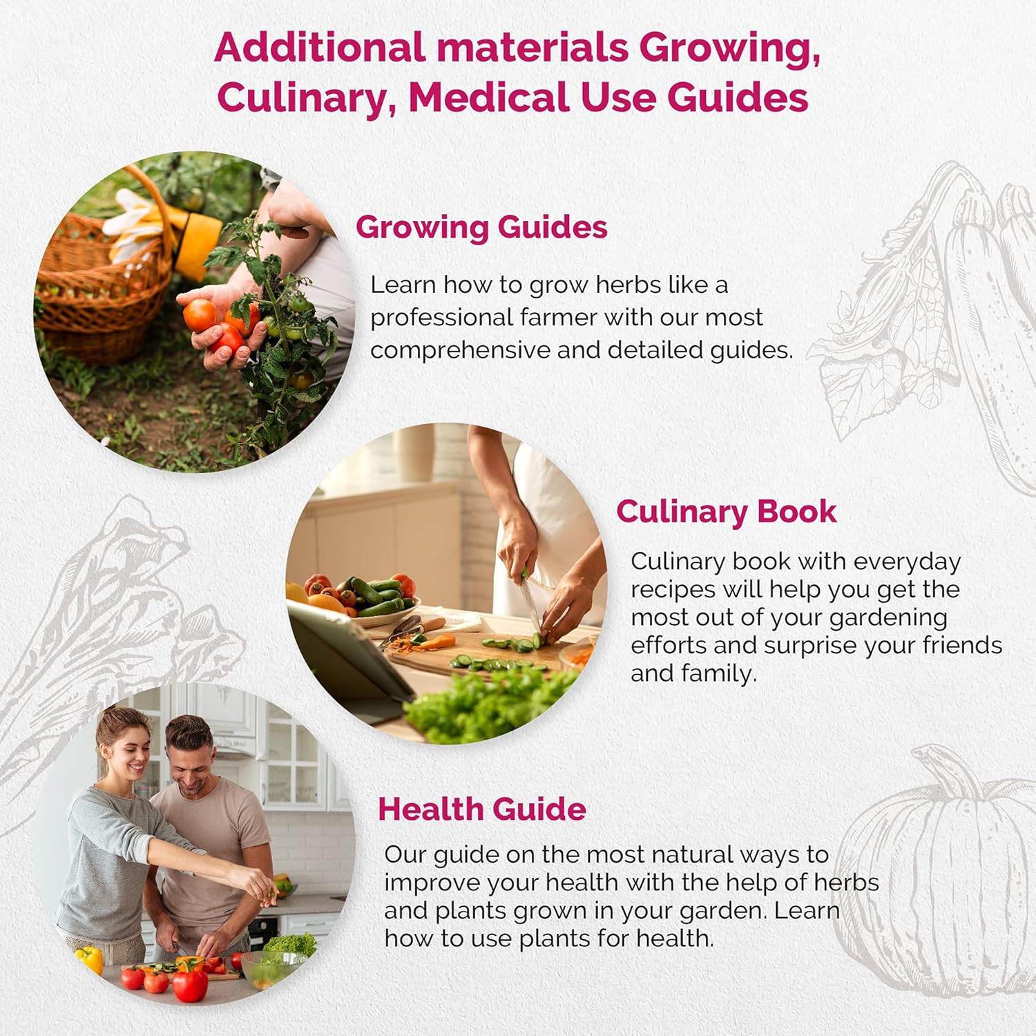 20 Most Popular Vegetables Seeds Variety Pack - Heirloom, Non-GMO, Veggies Seeds for Planting Outdoor and Indoor Home Gardening 1300+ Seeds Including Beet Tomato Celery Cabbage Pepper Cabbage & More : Garden & Outdoor