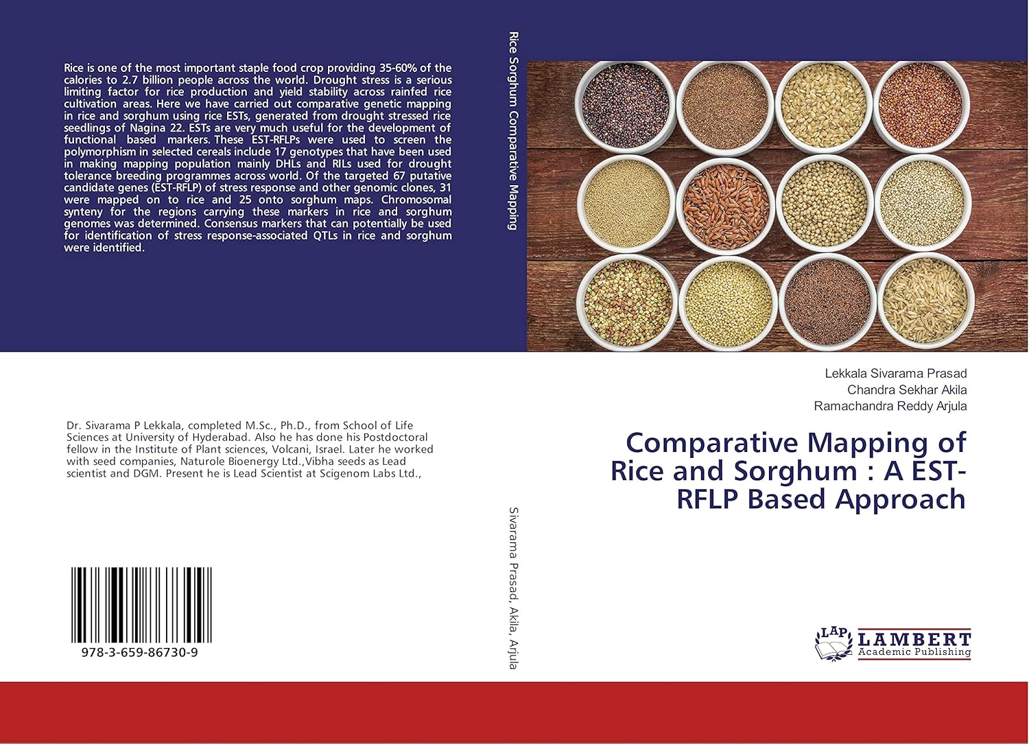 Comparative Mapping of Rice and Sorghum : A EST-RFLP Based Approach ...