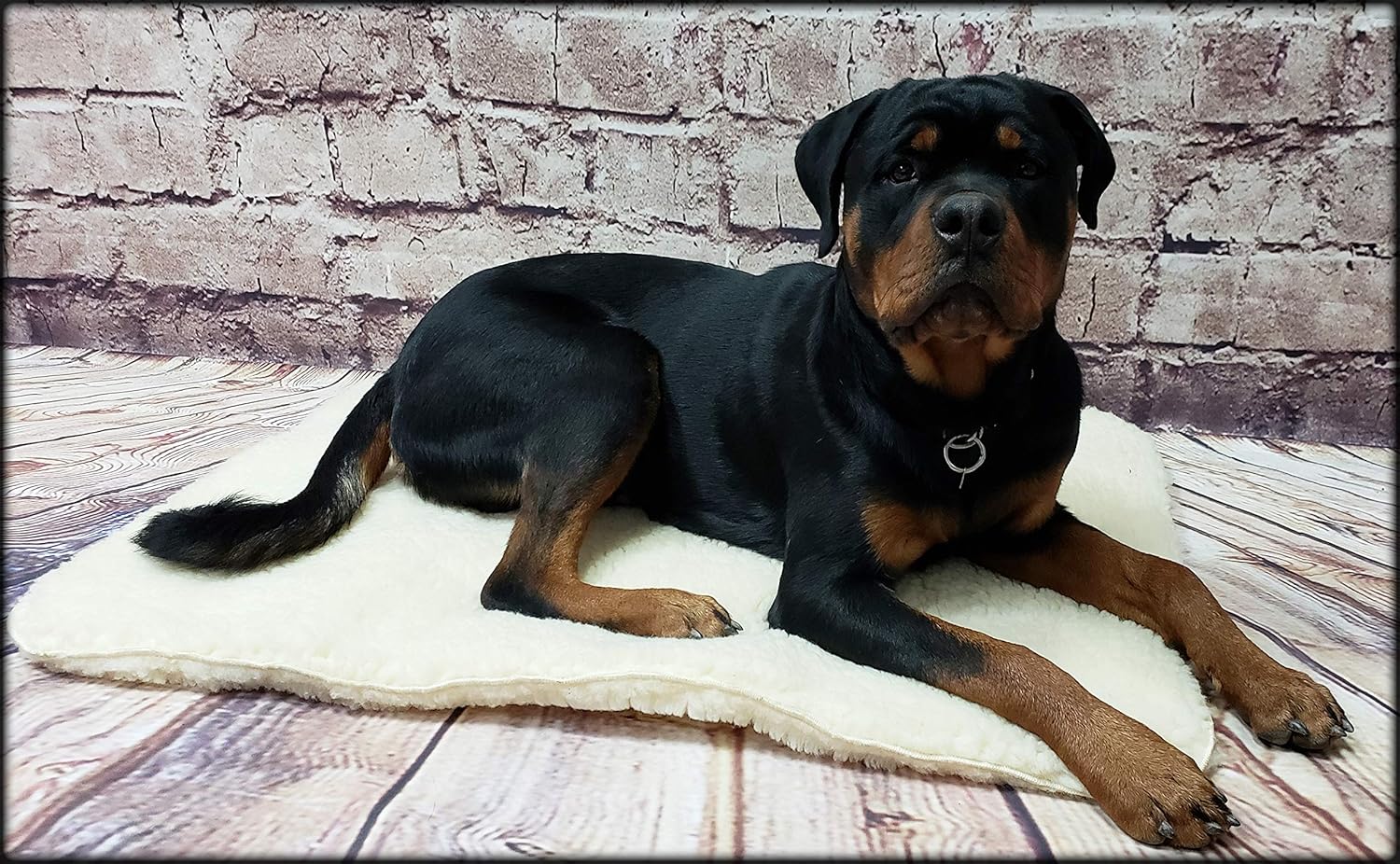 ActiveDogs Hi Loft Faux Lambskin Plush Sherpa Dog Bed - Medium 24"-36" - Orthopedic & Machine Washable - Double Layered