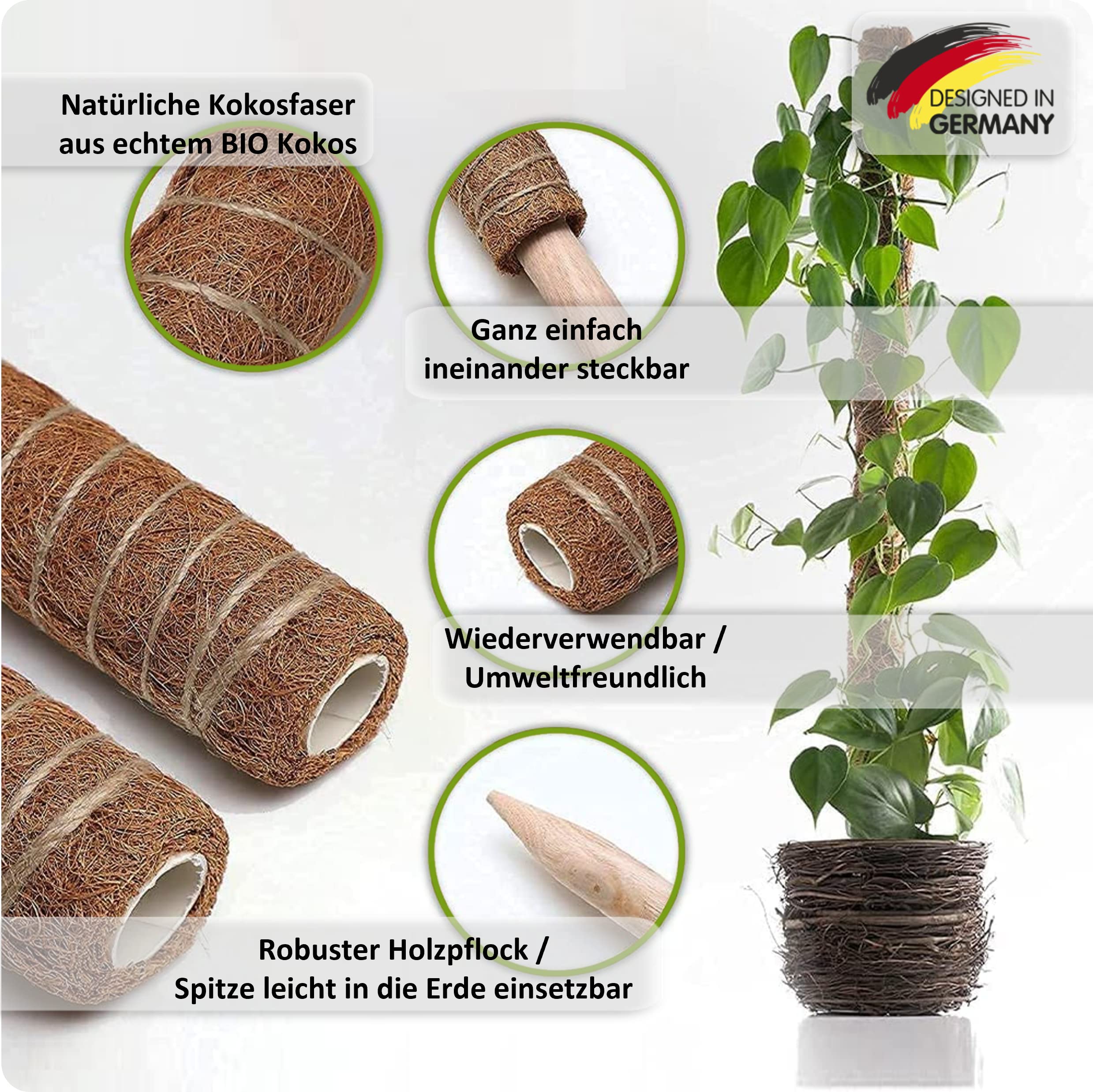 R&M Orient 2 x Natural Coconut Sticks, Set of 10, Plant Signs with Markers, 40 x Ties & 2 x Watering System, Plant Stakes, Trellis, Garden, Herbs, Plants, Weatherproof (2 Pieces - 41 cm) - Image 2