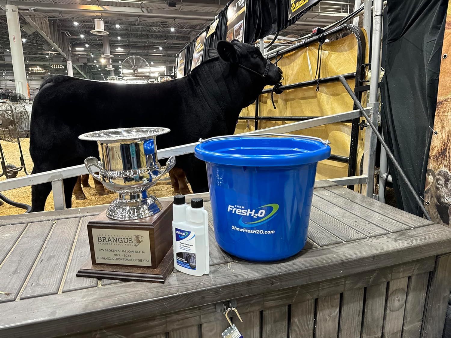 Show FresH2O Livestock Water Treatment Bottle - Eliminates Chlorine and Removes Related Odor in Drinking Water, Treats Up to 300 Gallons of Chlorinated Water, Made in the USA (32oz)