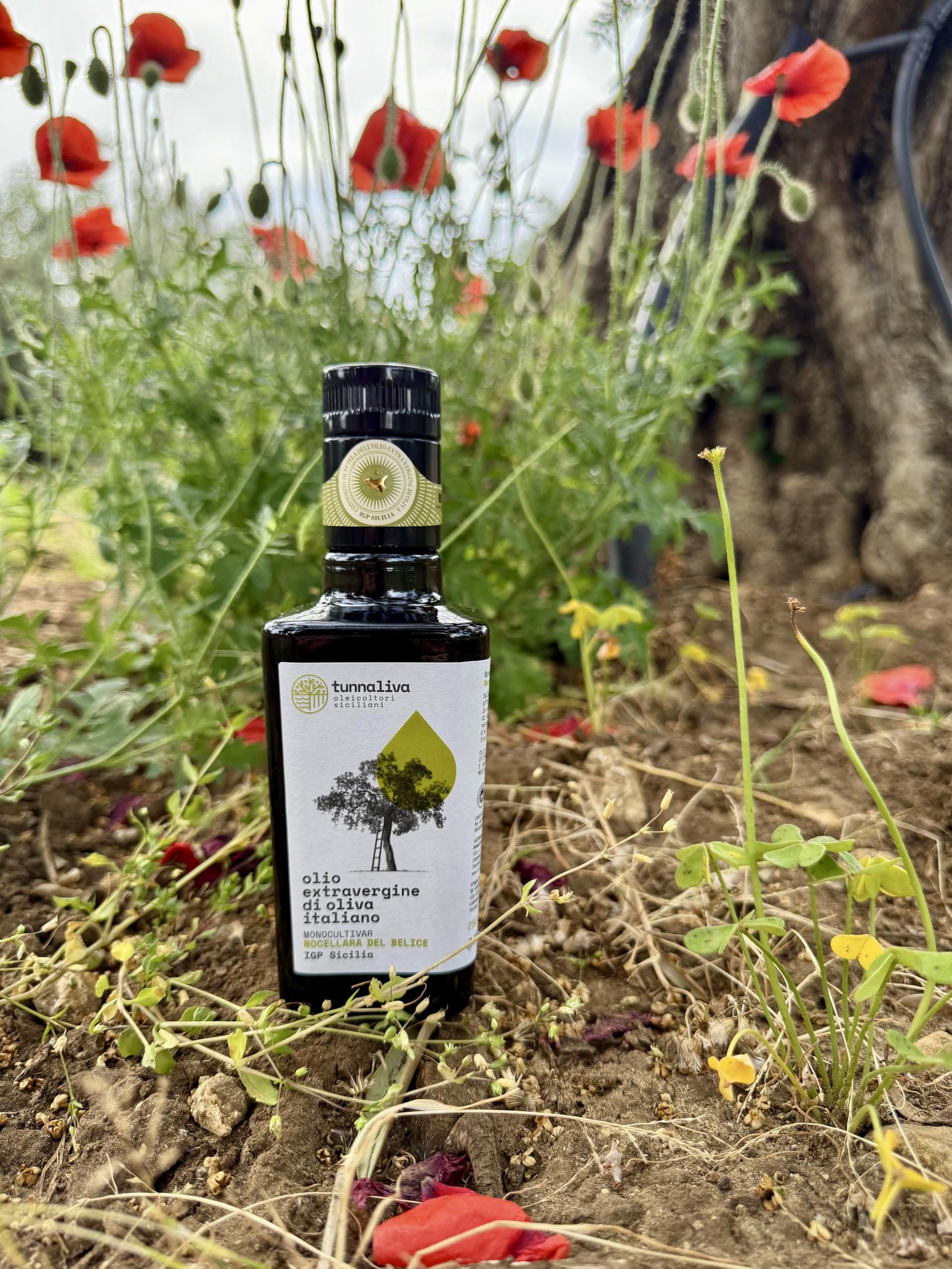 Olio EVO Tunnaliva - Olio Extra Vergine di Oliva Italiano - 100% Nocellara del Belice - IGP Sicilia - Set N.2 Bottiglie 250 mL