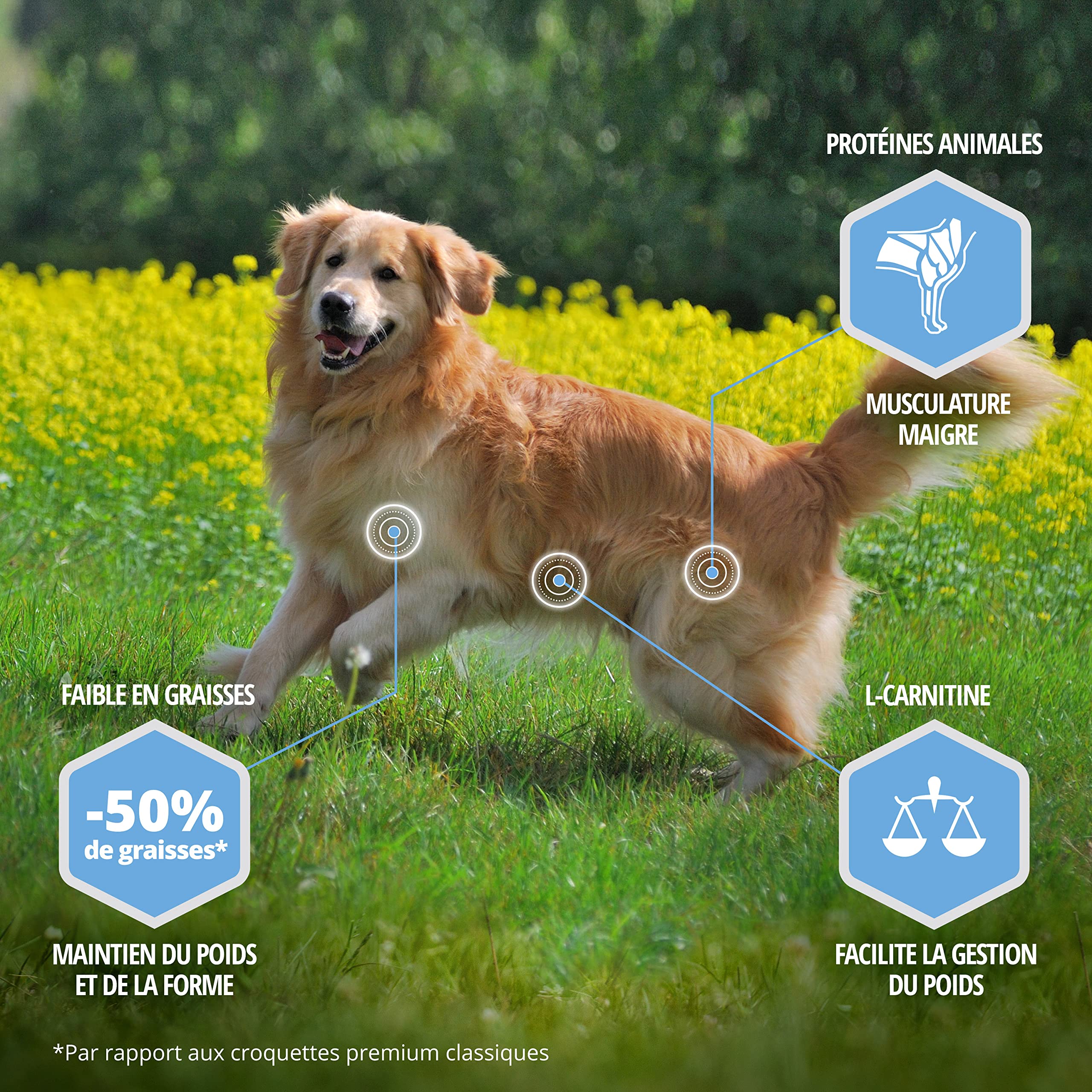 Eukanuba Chien Daily Care Adulte Contrôle de Poids Pour Grande Race Poulet 15kg