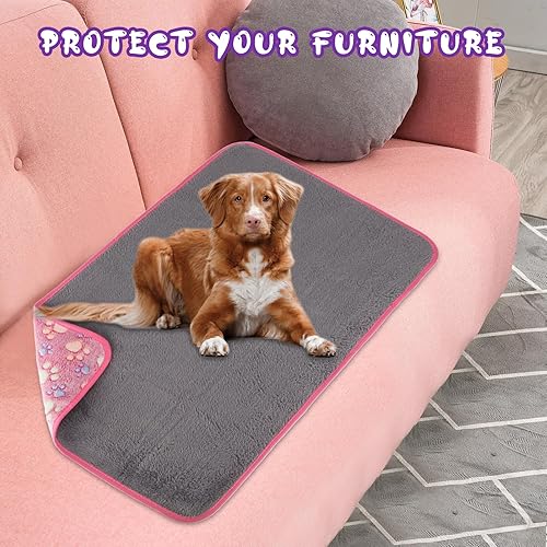 Miniatura 8 de YUEPET Mantas impermeables para perros, paquete de 2 mantas lavables para perros para la cama, sofá, protector de forro polar de franela para
