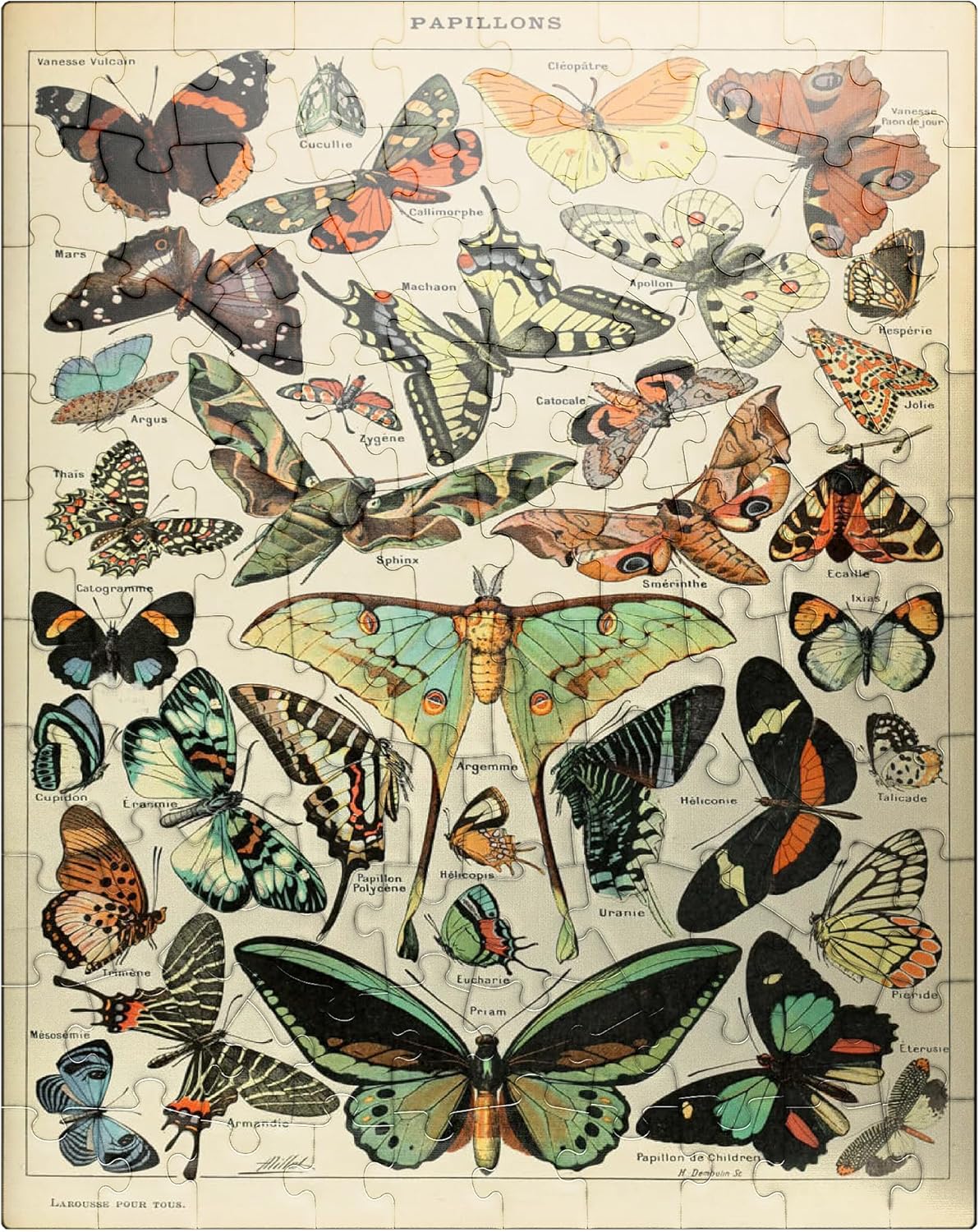 MyPuzzle Papillons - Butterflies for All, Vintage Art Poster, Adolphe Millot - Premium 100 Piece Jigsaw Puzzle for Adults