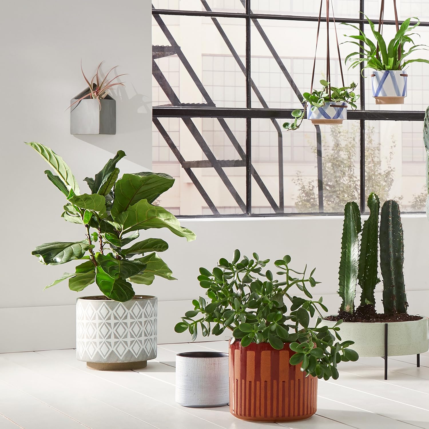 Amazon Brand – Rivet Mid-Century Ceramic Planter with Iron Stand, 6.8"H x 14.5"W, Pale Green