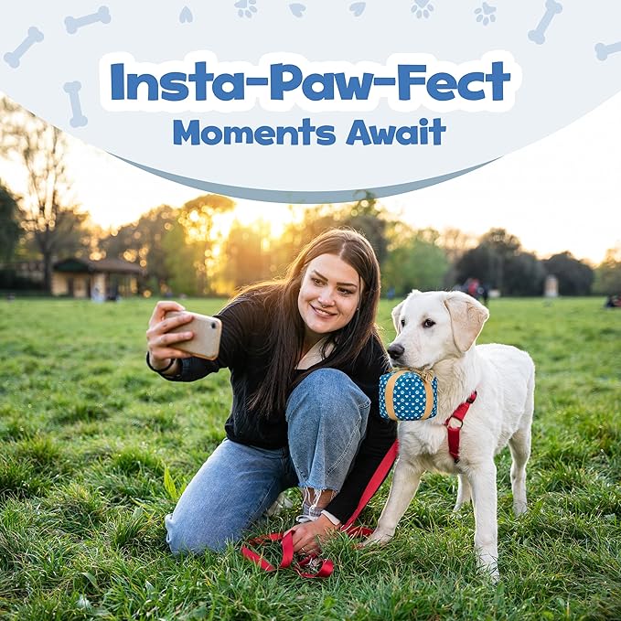 Juguete para Perro PUPROAR Caja de Regalo con Cuerda y Sonido miniatura 6