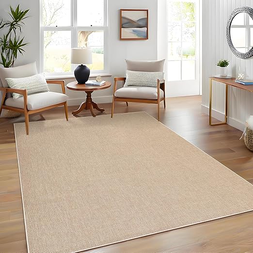 Amazon.com: MilleLoom Washable Rug Solid Area Rugs 5x7 Rugs for Living ...