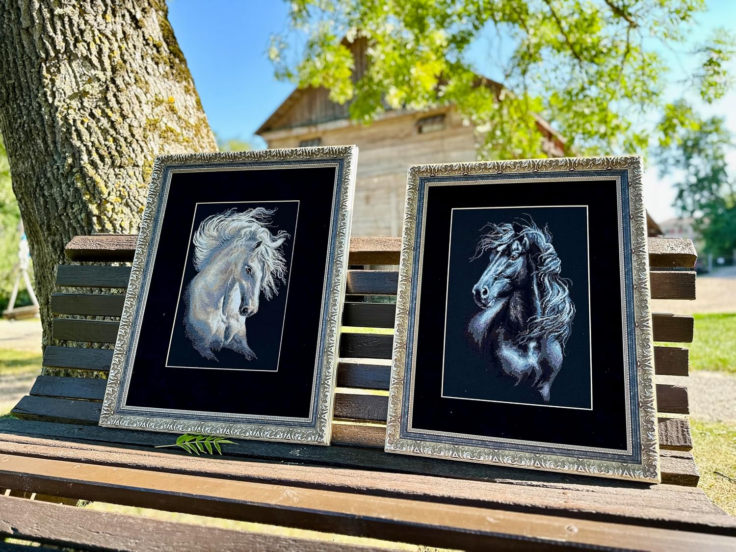 RIOLIS - Breeze Through Mane 1494, Counted Cross Stitch Kit 11,81" x17,72, Black Horse Embroidery Kit, Cross Stitch Patterns for Adults with Horse, Cross Stitch Kits for Adults Advanced & Beginners