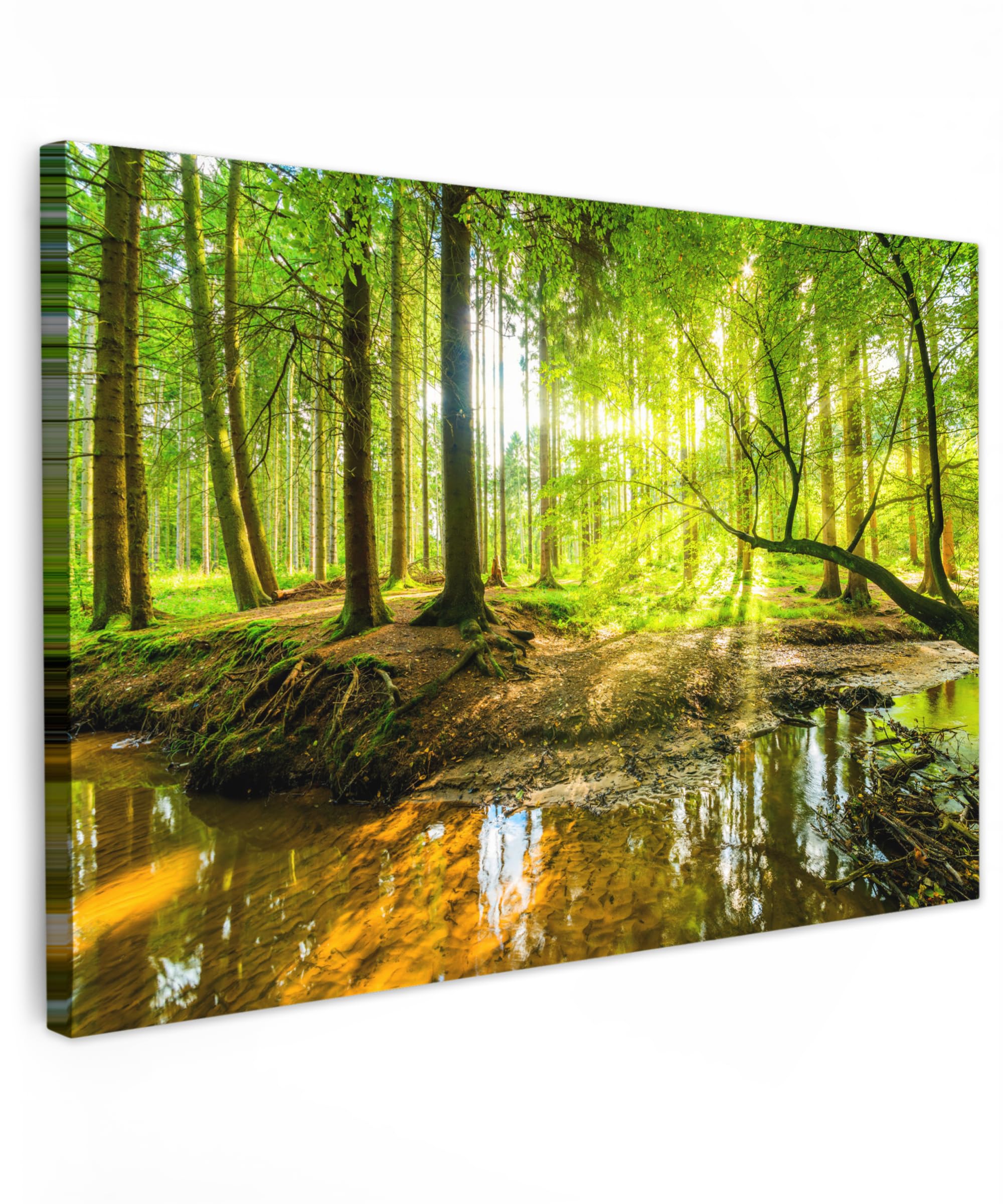 MuchoWow© Leinwandbild 90x60 cm Dekoration Wohnzimmer Bilder Aufhängen Wall Decoration Living Room Wohnungs Deko Moderne Wandbilder Bild Wald - Landschaft - Wasser - Bäume - Grün - Natur