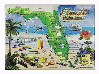 Florida Attractions & Icons Collage Fridge Collector's Souvenir Magnet 2.5" x 3.5"