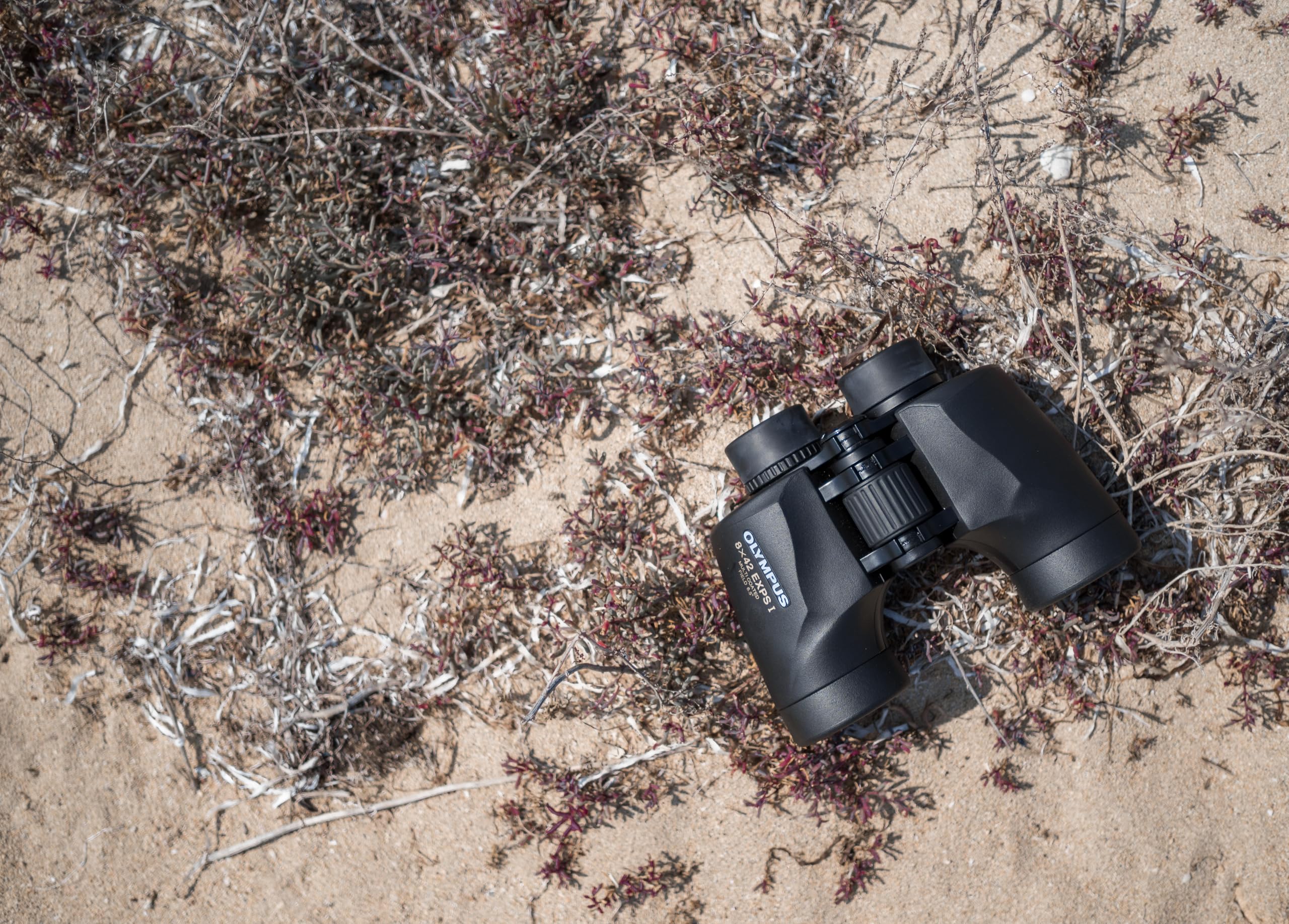 Olympus 8x42 EXPS I Prismáticos - Binoculares Profesionales con Prismas | Lentes con protección UV y óptica de alta resolución. Diseño ergonómico para observación de aves, naturaleza y senderismo.