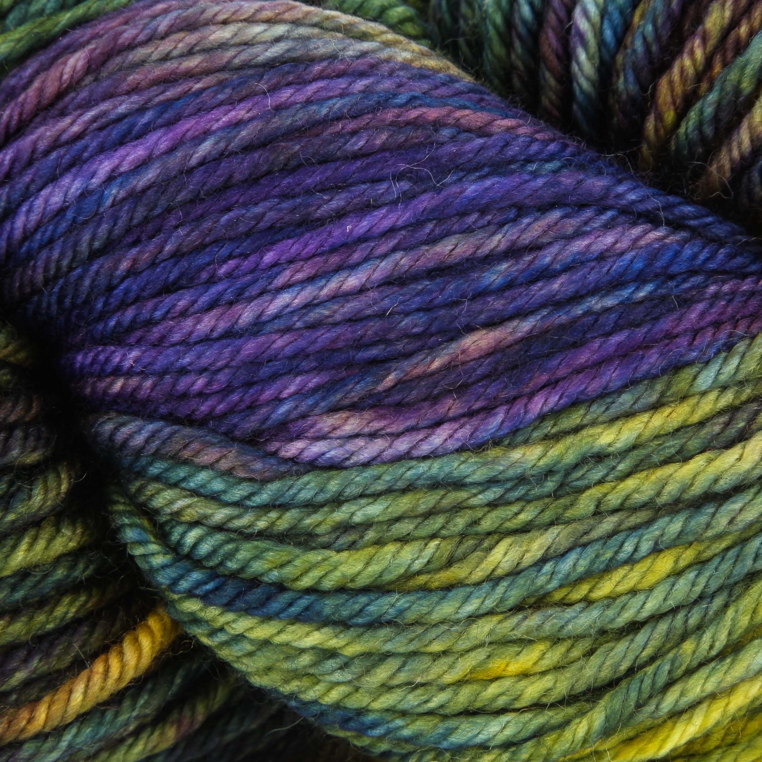 Malabrigo Rios 870 Candombe Multicolor Worsted 4 Ply Yarn 100% Superwash Merino Wool 210 Yards 100 Grams