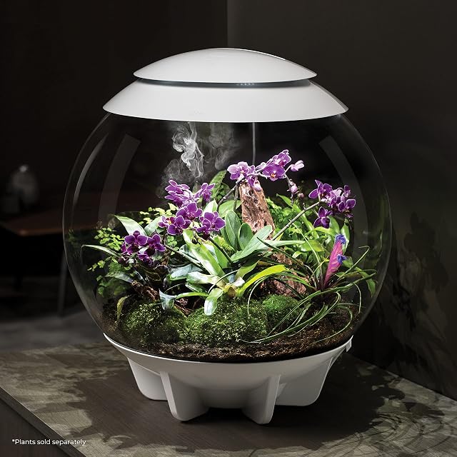 Foto 2 de 7 de biOrb 46147 AIR 60 blanco, terrario automático para el cuidado cómodo de las plantas, acrílico