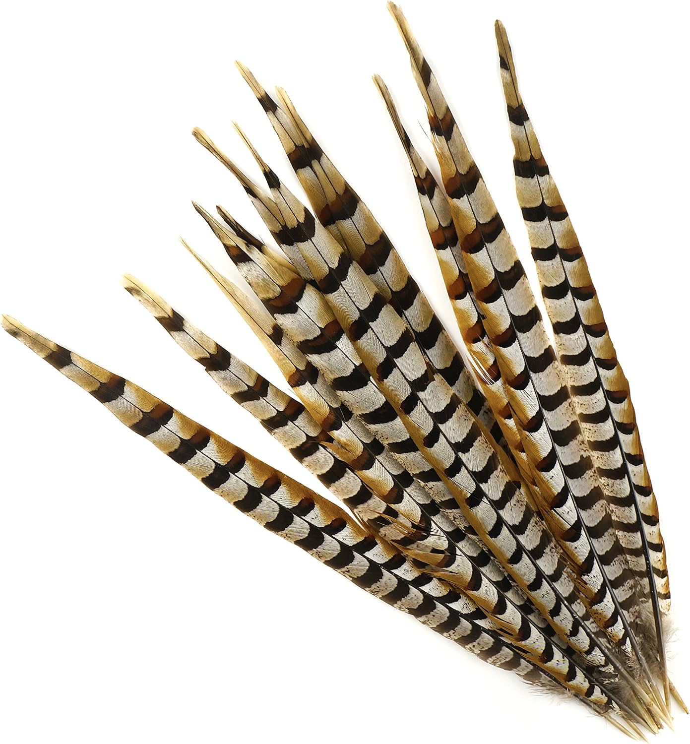 Pheasant Tail Feather Craft Supplies - 16-20" Natural Golden Brown Home Decor 12pcs