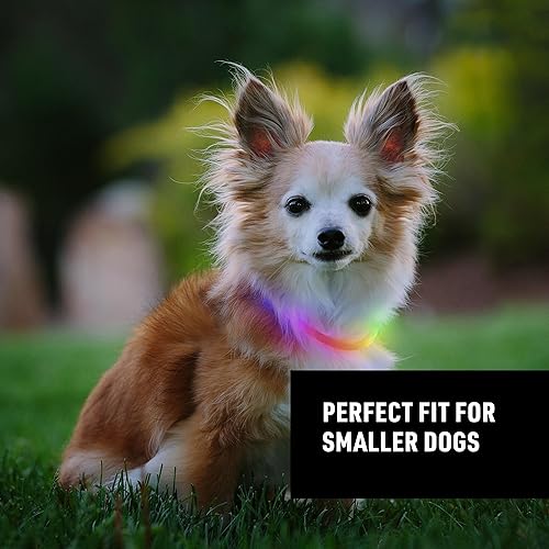 Miniatura 4 de NiteHowl - Mini collar de seguridad recargable con LED, Disc-O Select