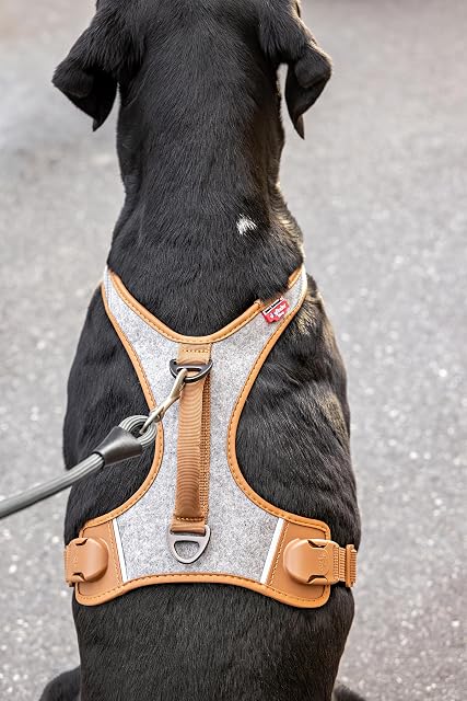 Foto 5 de 8 de Alpine Belka Harness Gray 3XL