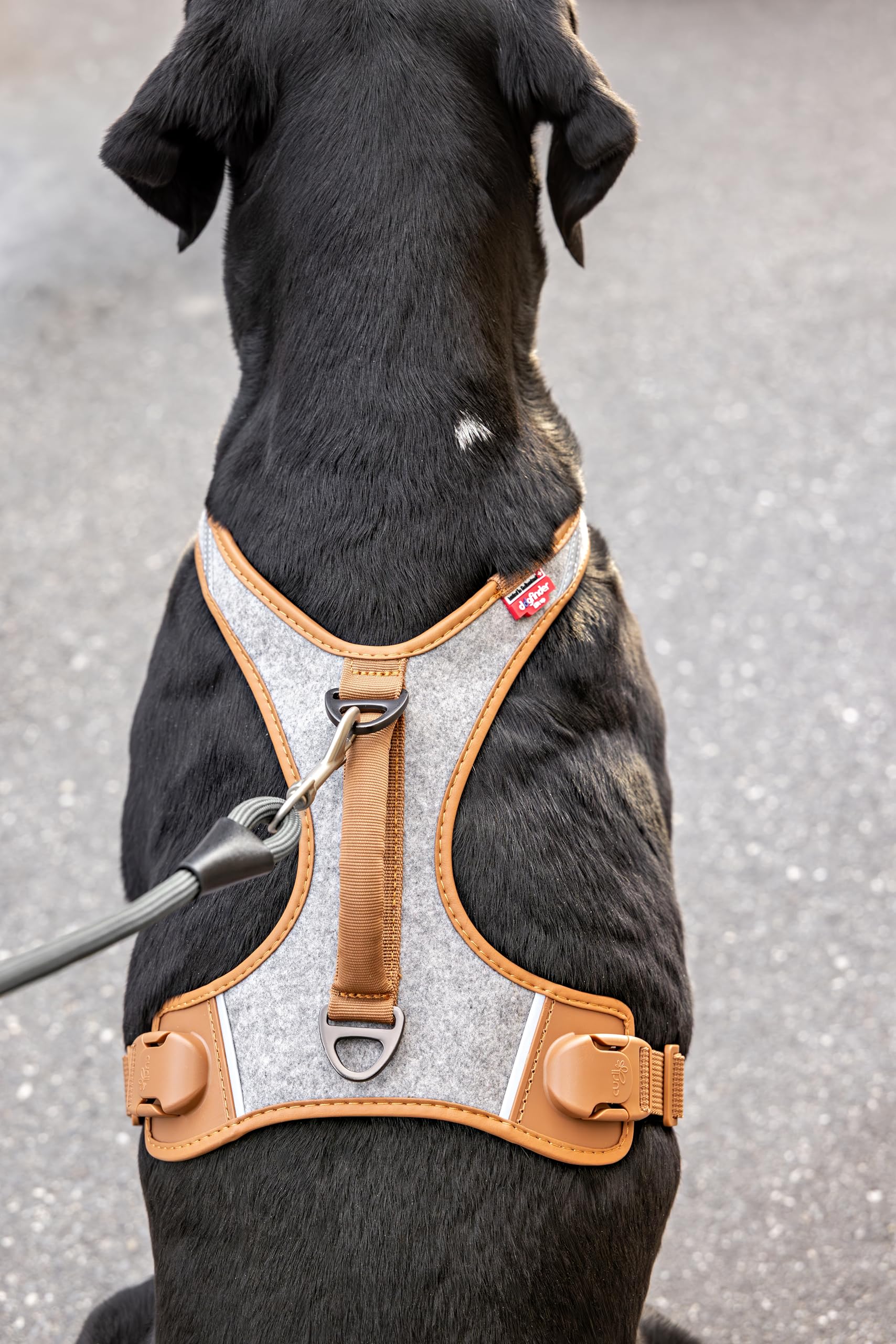Alpine Belka Harness Gray 3XL
