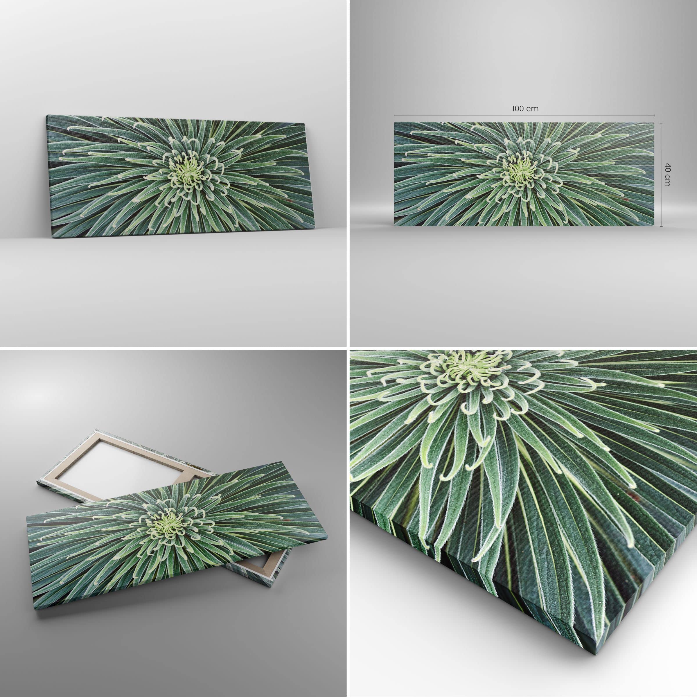 ARTTOR Cuadro Decorativo 100x40cm Moderno Panorámico Botánica Flores - 4905