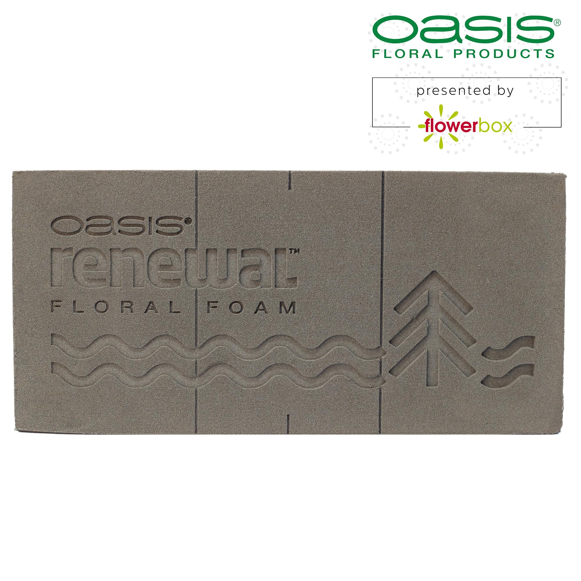 3 x Original Oasis Renewal Floral Foam Based on Plant-Based Bio