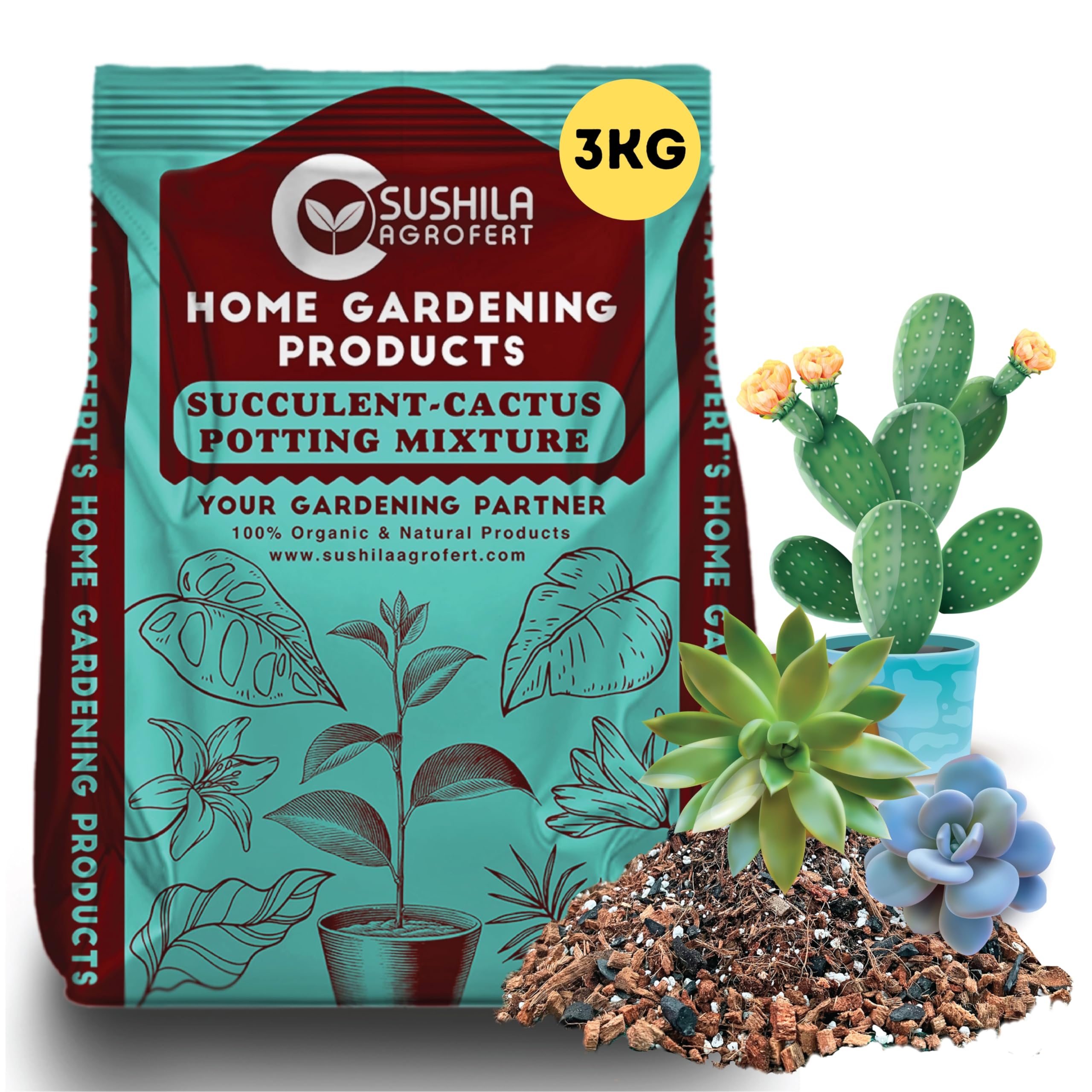 Succulent & Cactus Potting Mixture-3Kg or Soil Mix for Plants. Ready to Use Light Weight Best Media for Table Plants Miniature Plants Orchids (B0C3YWM97N) Amazon Price History, Amazon Price Tracker
