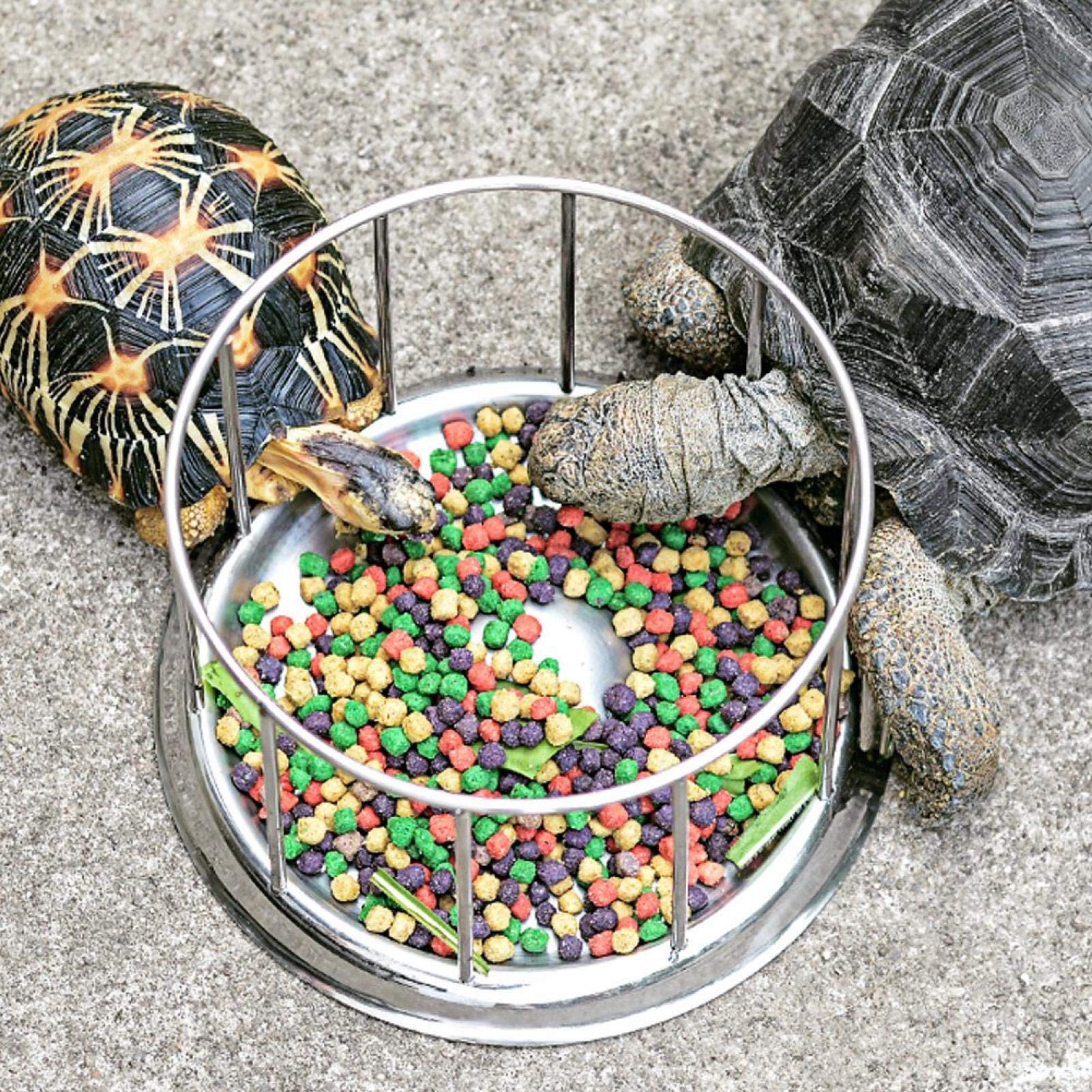 Alimentador de Reptiles para Tortugas, Duradero Plato de Comida y Agua para Reptiles, Cuenco alimentador para Tortugas de Agua(pequeña)