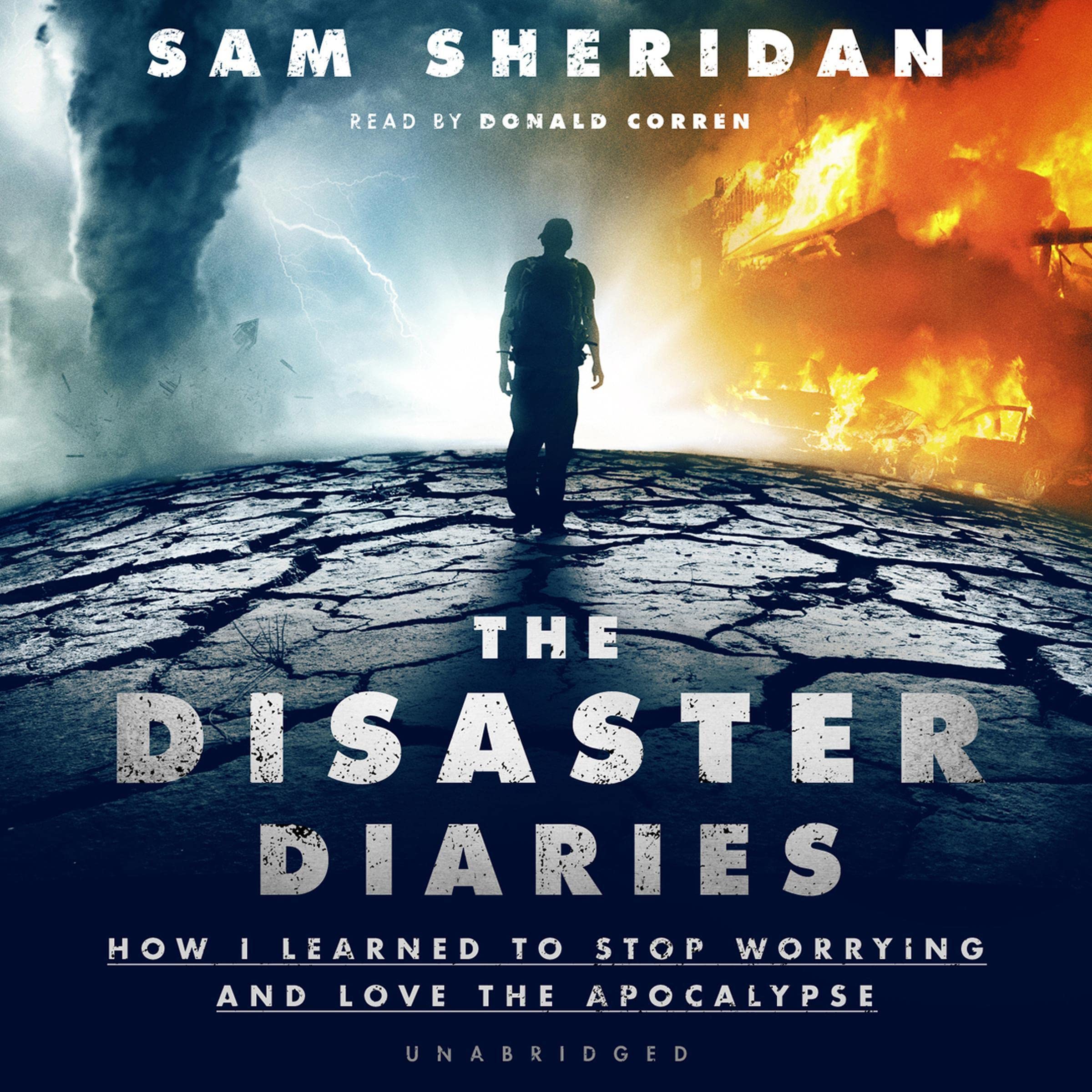 Cover art for The Disaster Diaries