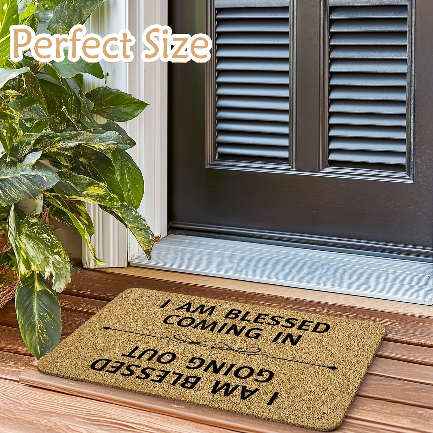 Funny Welcome Mats for Front Door, Funny Door Mat, I Am Blessed Coming in and Going Out Doormat for Porch Outside Inside Outdoor Indoor Entrance, Humorous Bath Rug, 17x30 Inches