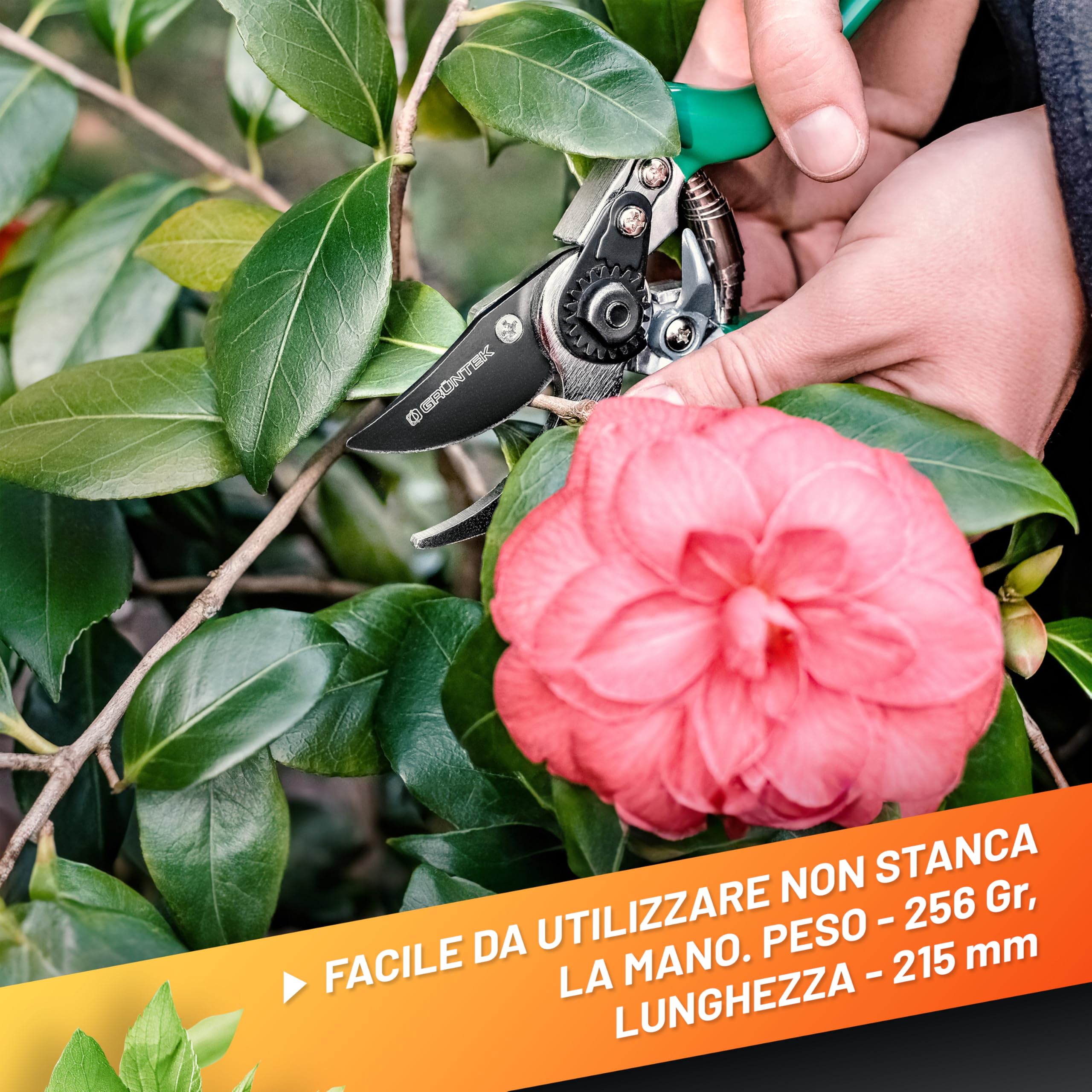 GRÜNTEK Forbici Cesoie Potatura Giardino 215 mm FALCO Professionale