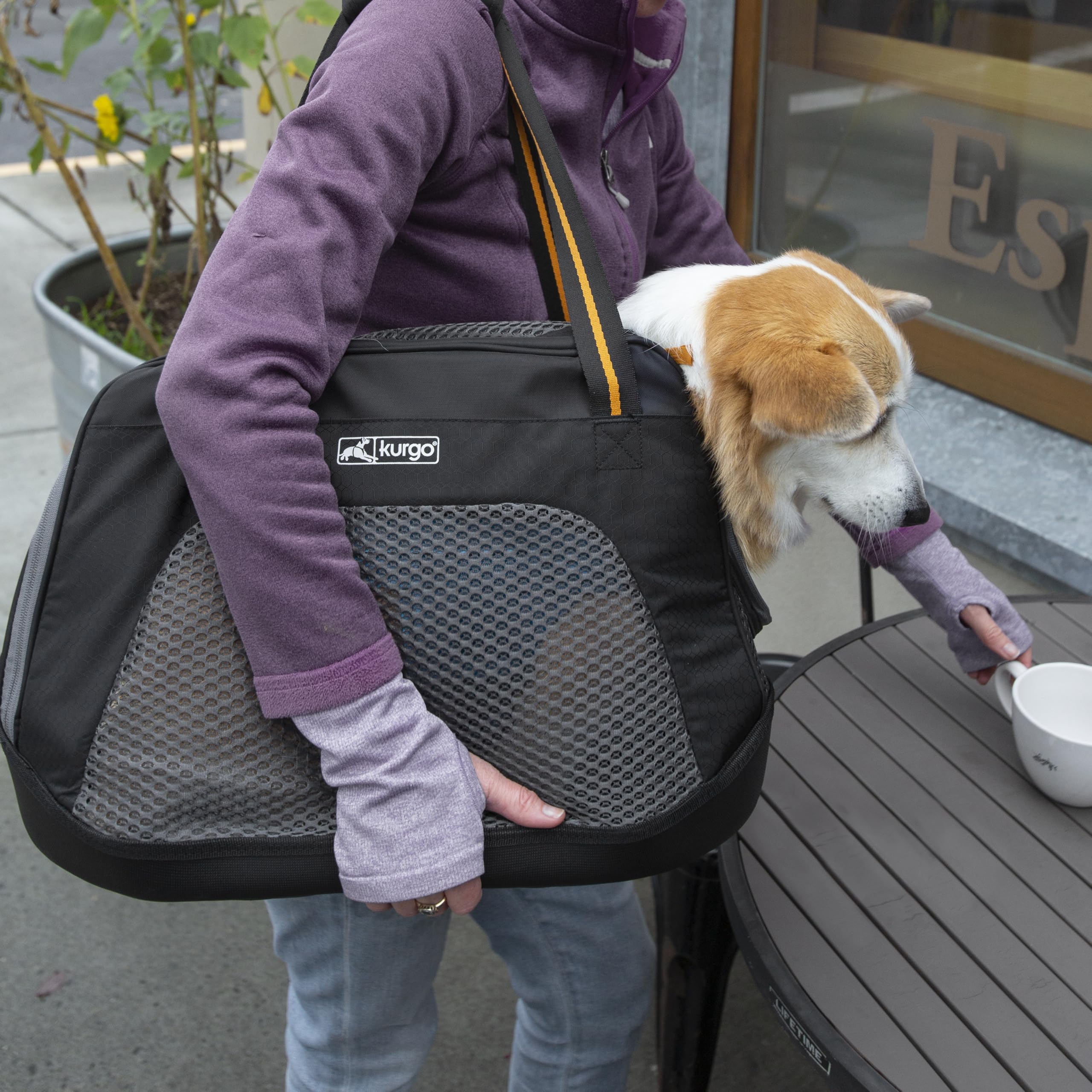 Kurgo Explorer Transportín de Viaje, Negro/Amarillo | Base Armorsole Resistente al Agua, Bolsillos Laterales, Para Mascotas Pequeñas