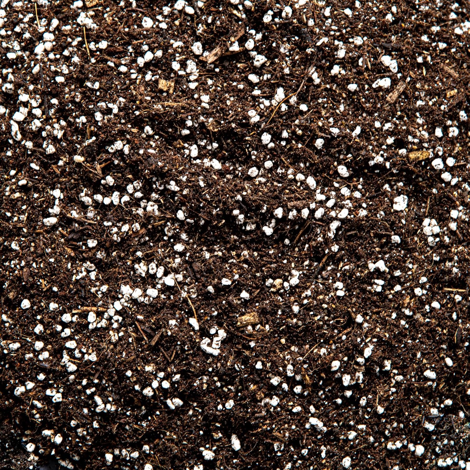 Carnivorous Plant Potting Mix Enriched with Nutrients (1L) Amazon