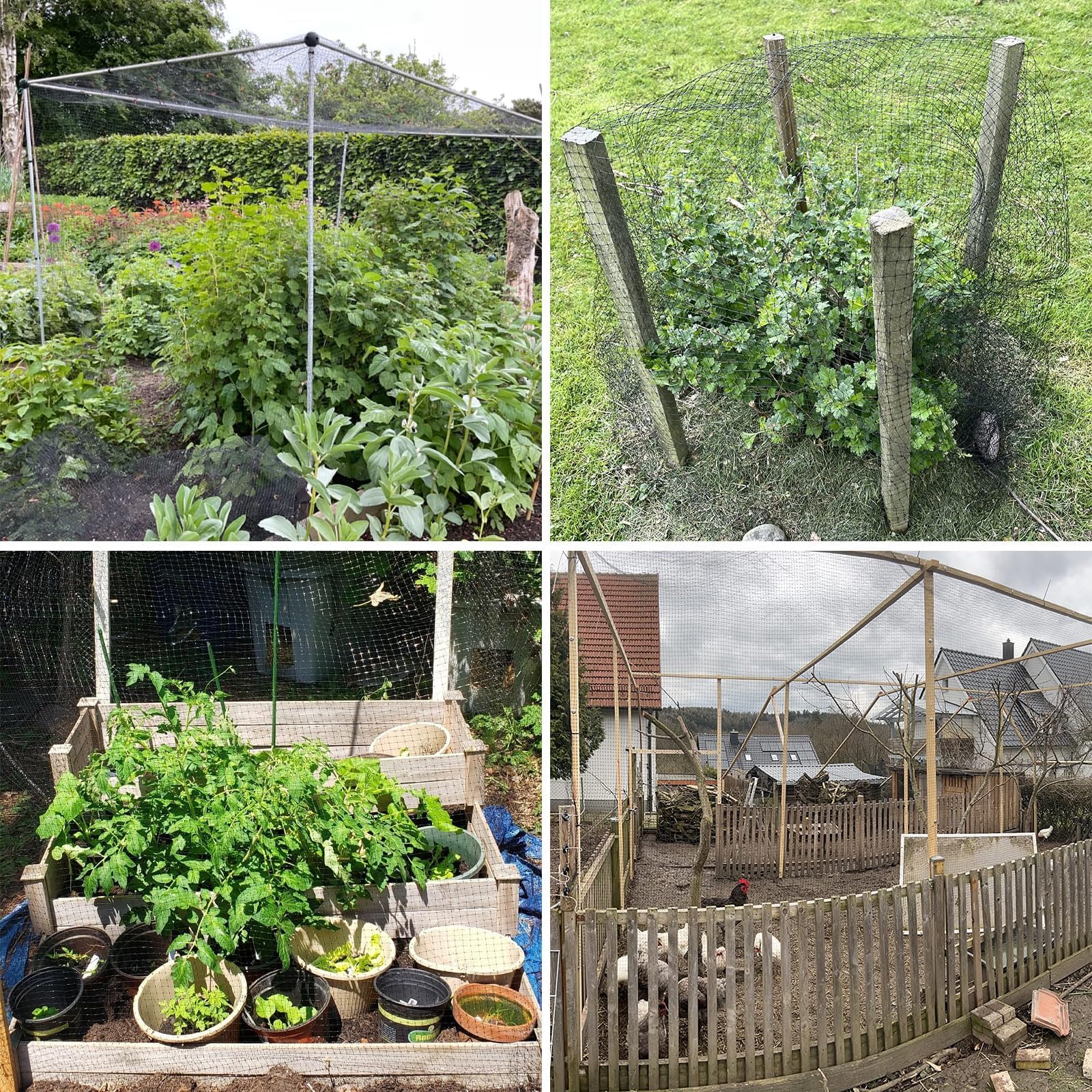 Rete anti Uccelli, 4 X 10m Rete per Uccelli Protezione, Rete Antiuccelli con 50 Pezzi Fascette, Rete da Giardino Proteggere Ortaggi Frutti Fiori da Uccelli Animali Parassiti