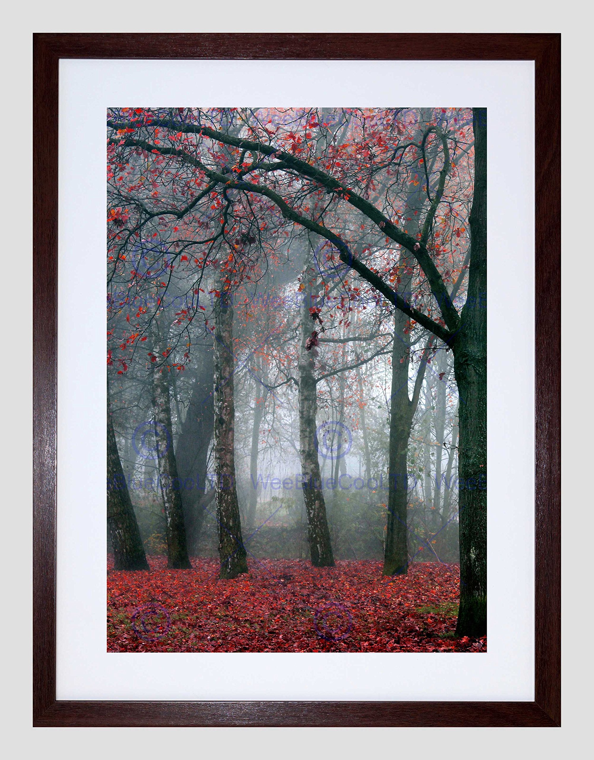 Wee Blue Coo Nature Forest Tree Autumn Fall Beautiful Red Framed Wall Art Print