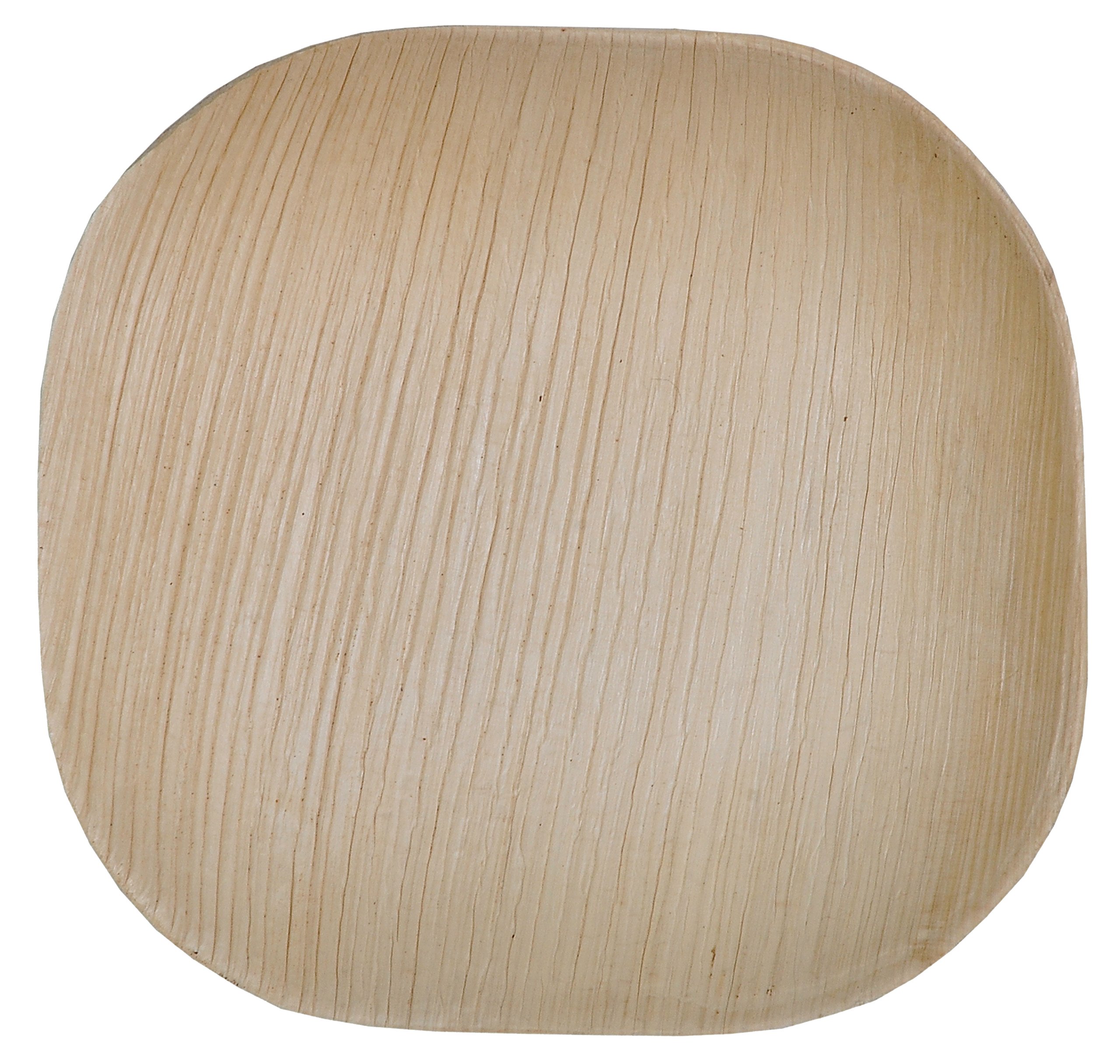 Green Atmos disposable 100 pack 4 inch square disposable plates mini taster cookies party wedding dinner buffet biodegradable compostable and eco friendly palm leaf plates