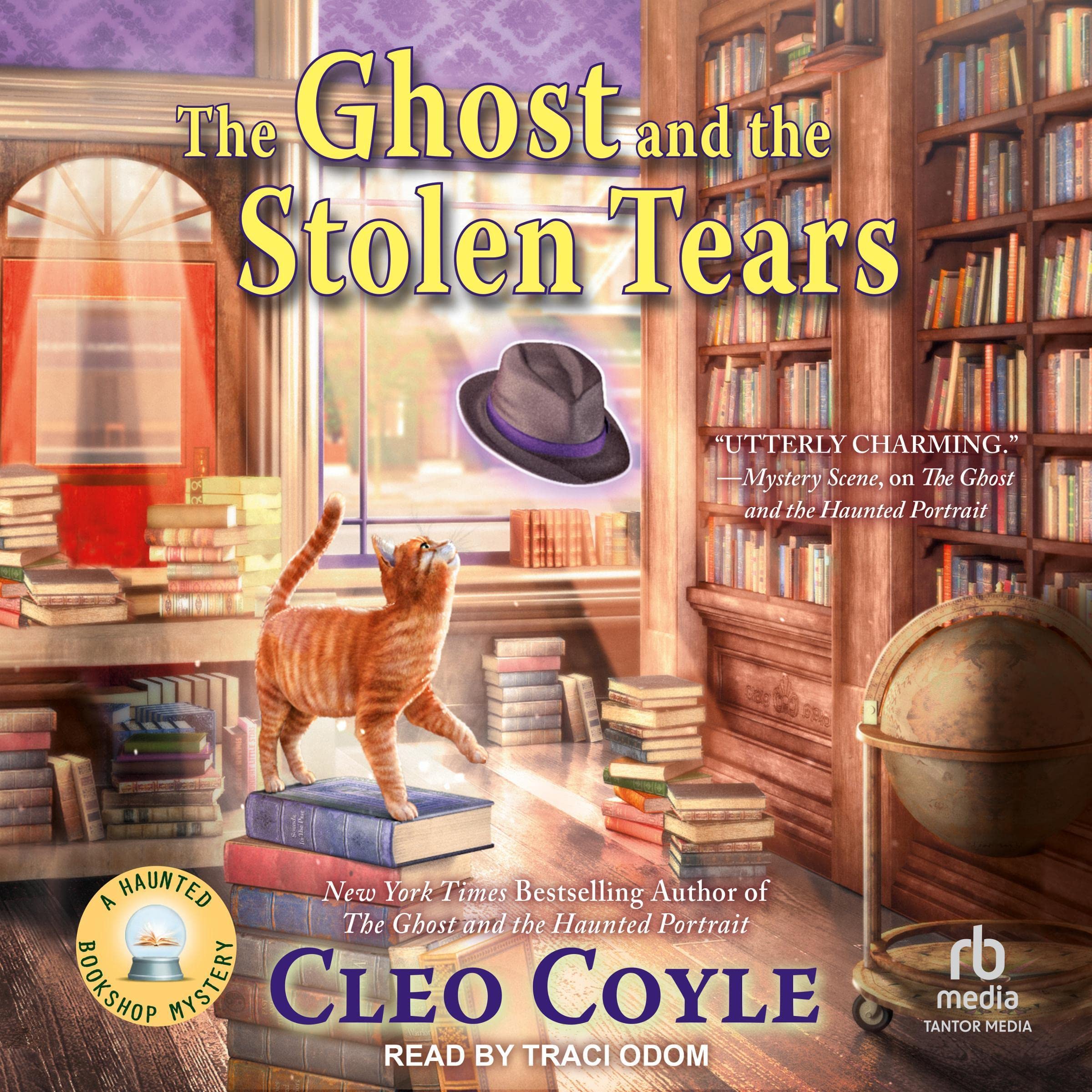 Cover art for The Ghost and the Stolen Tears