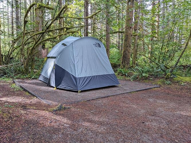Amazon.co.jp: The North Face (ザ・ノース・フェイス) Wawona 4人用
