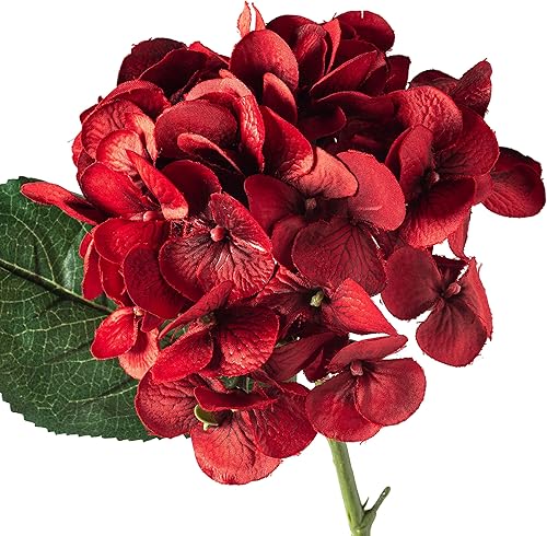 Miniatura 8 de Ashland Tallo de hortensia