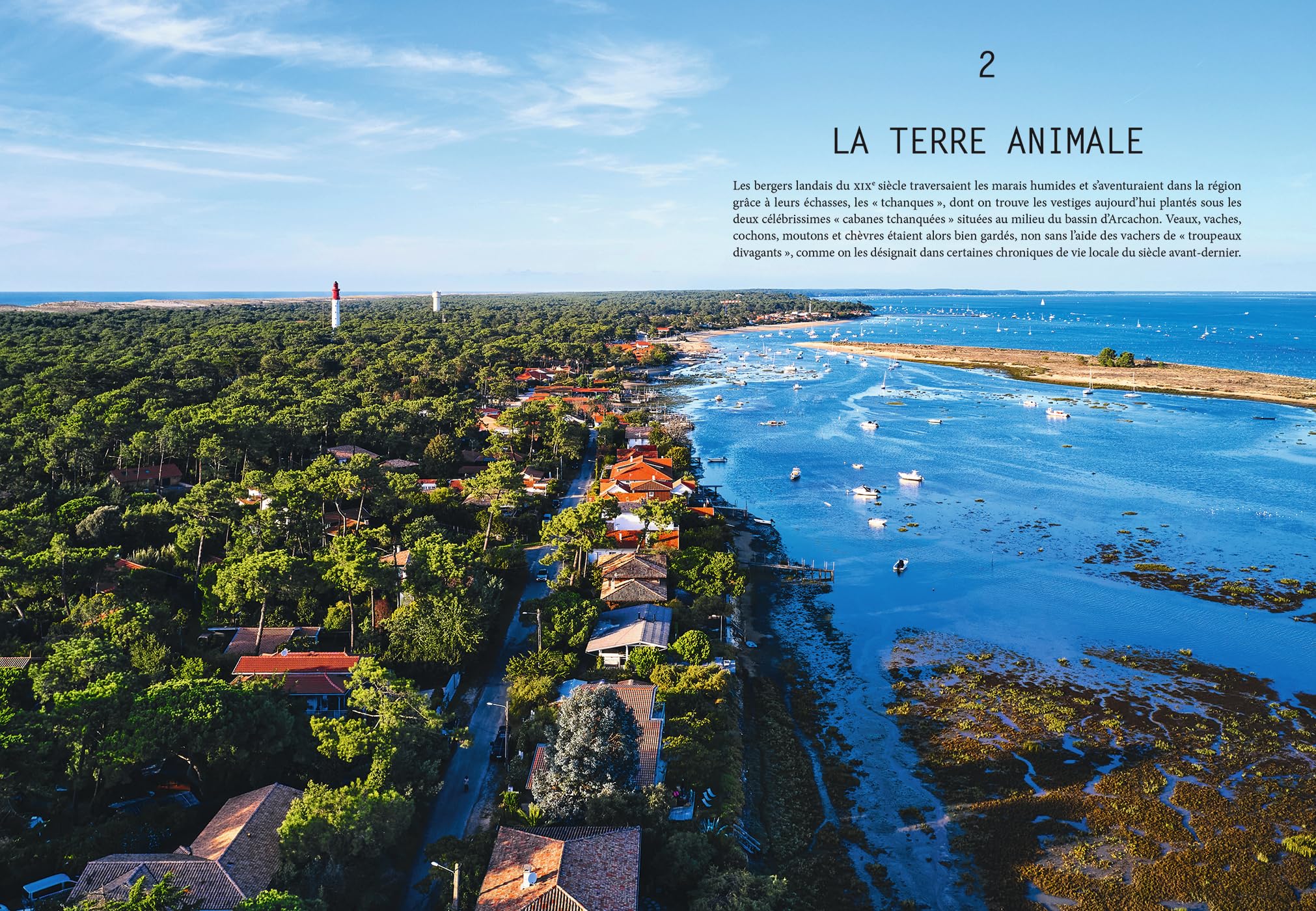 L'été gourmand au Cap Ferret: 44 nectars en 100 recettes