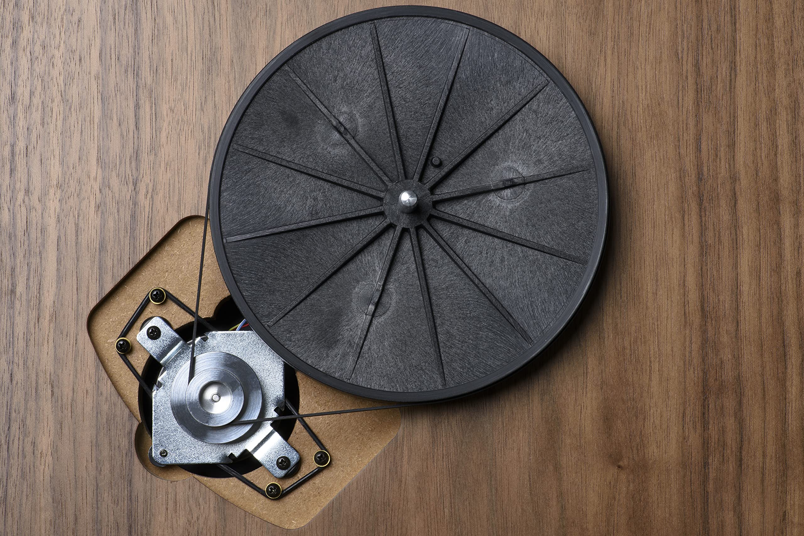 Pro-Ject oryginalny pasek pasujący do Debut Carbon, Debut III, X1, X2 i 1Xpression