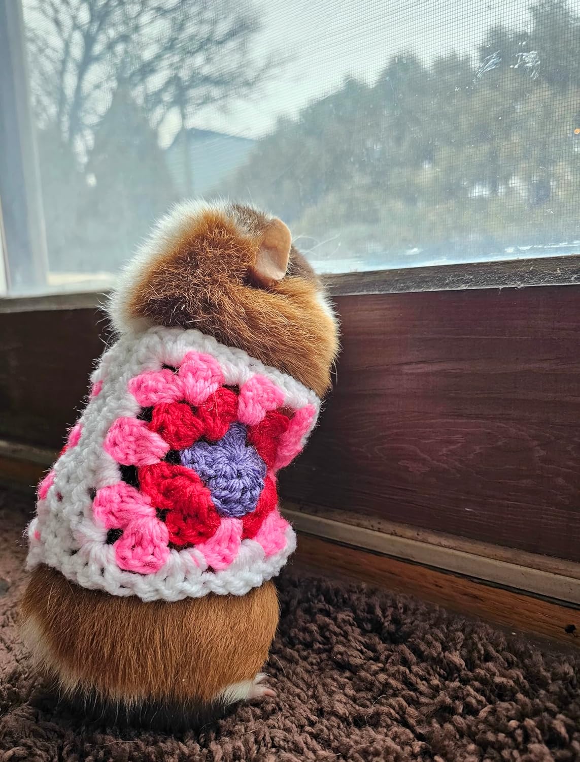 Crochet Guinea Pig Sweater, Crochet Guinea Pig Granny Square Sweater, Small Pet Sweater, Small Pet Granny Square Sweater
