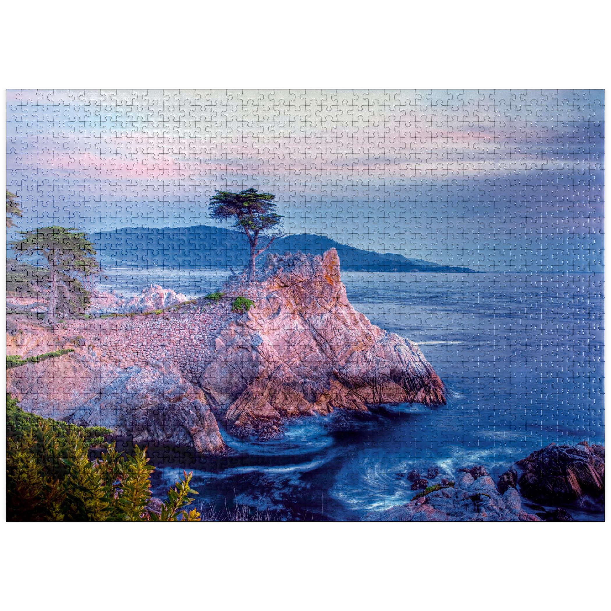 Amazon.com: MyPuzzle Lonely Cypress, Monterey Cypress Tree On
