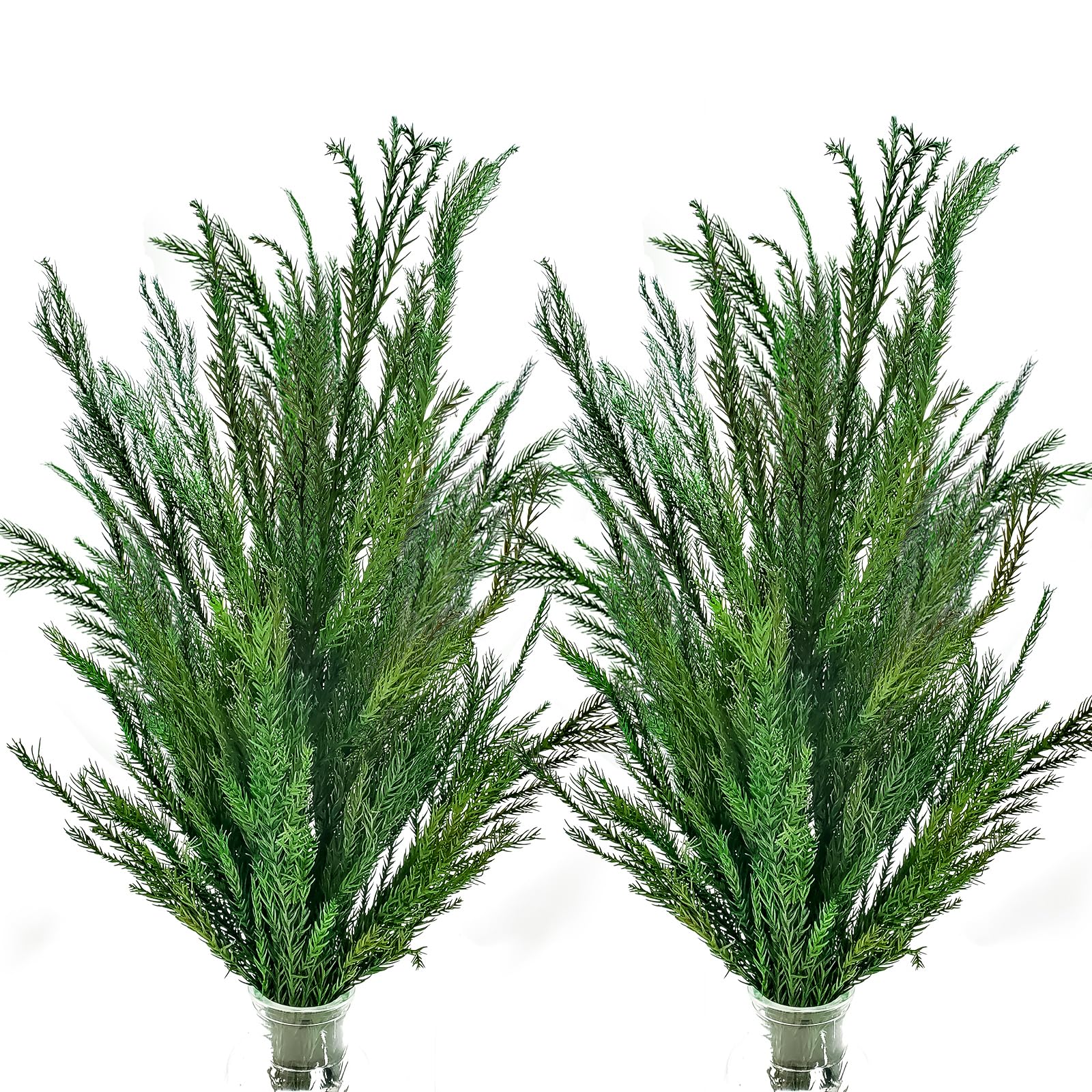 Preserved Dried Norfolk Pine Stems , 2 Bundles Norfolk Pine Branches Dried Plants for Making Garlands Wreath Christmas Tree Party Home Decor (2)